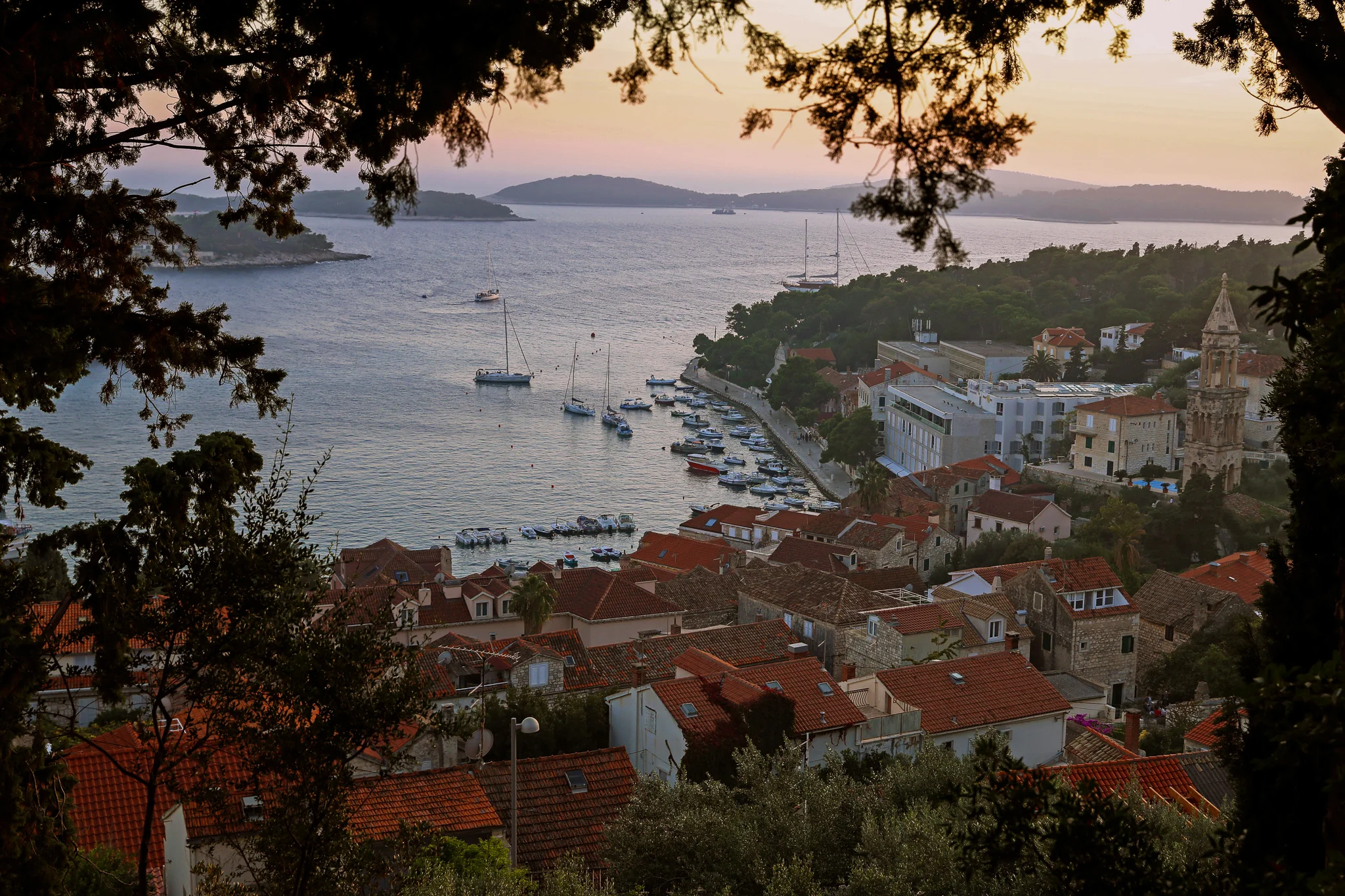 5D4_2873.jpg
