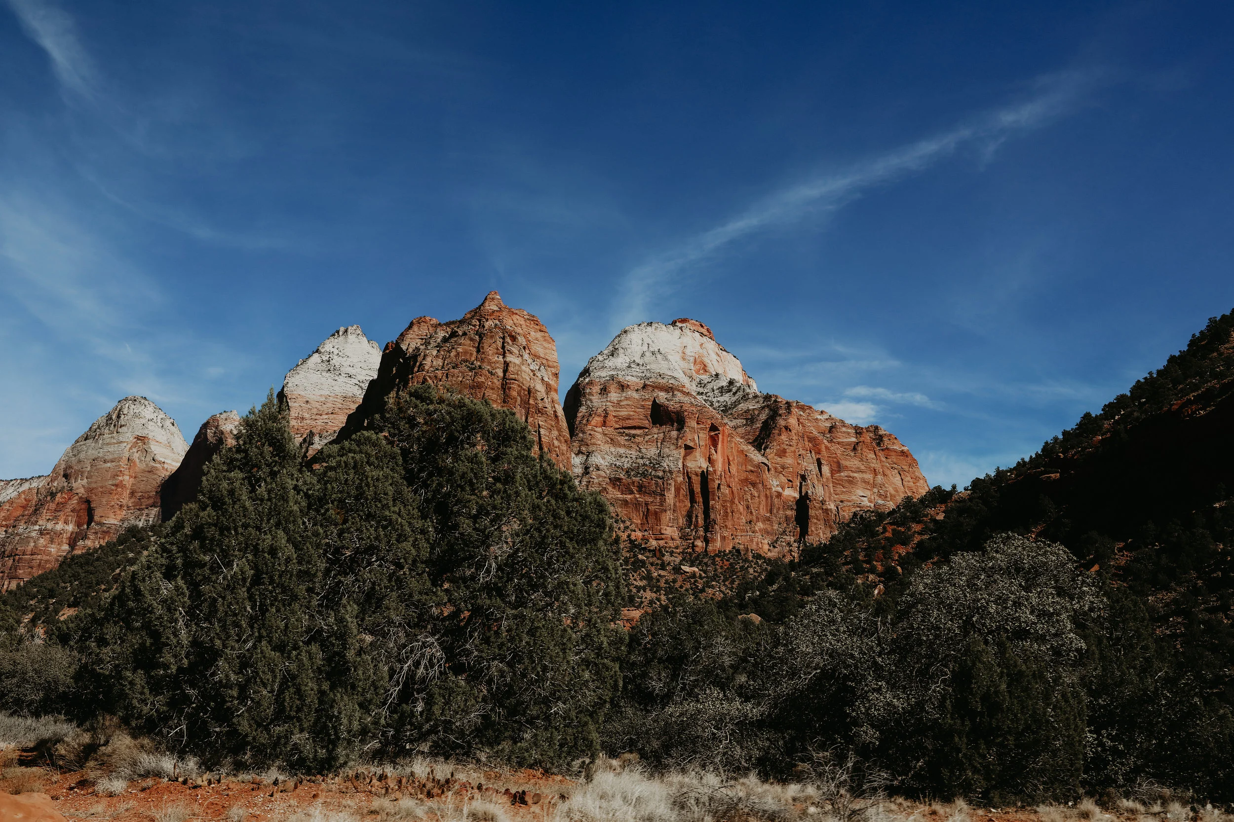 5D4_5768.jpg