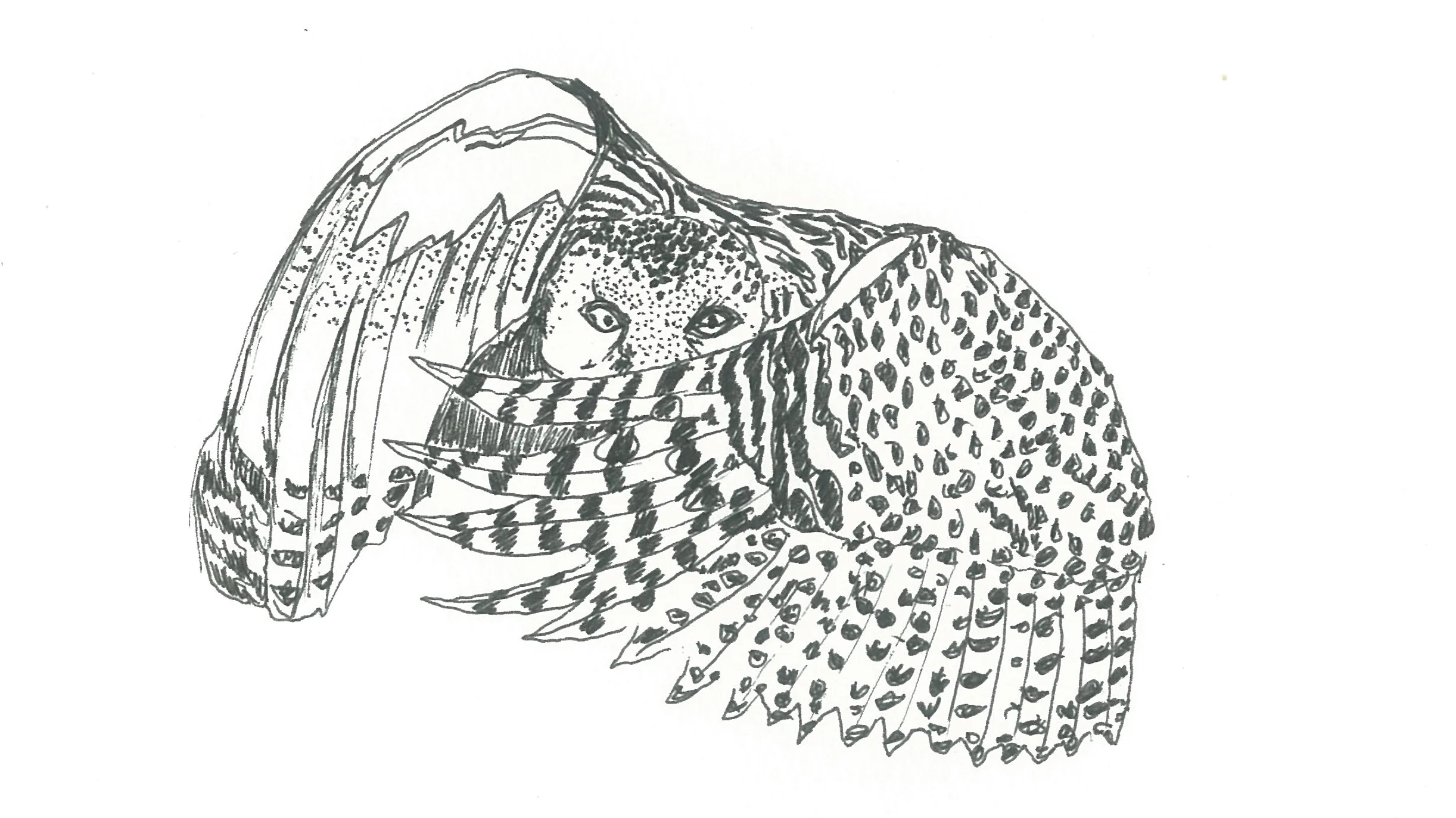 owl.jpg