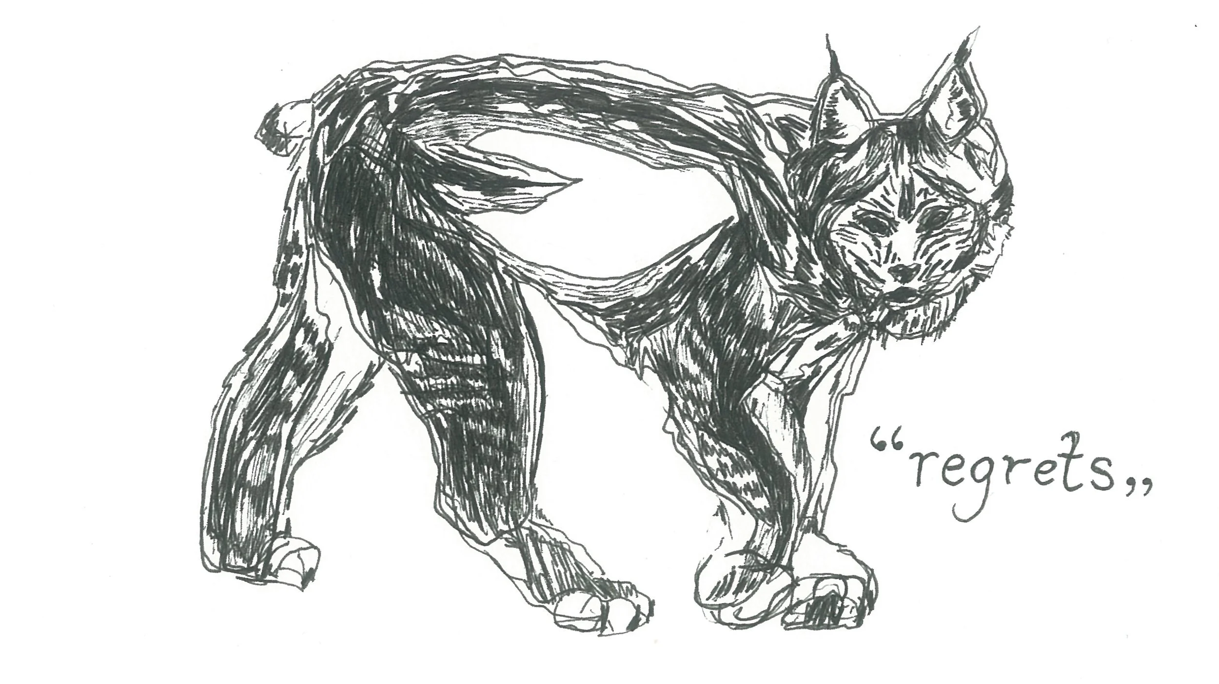 lynx.jpg
