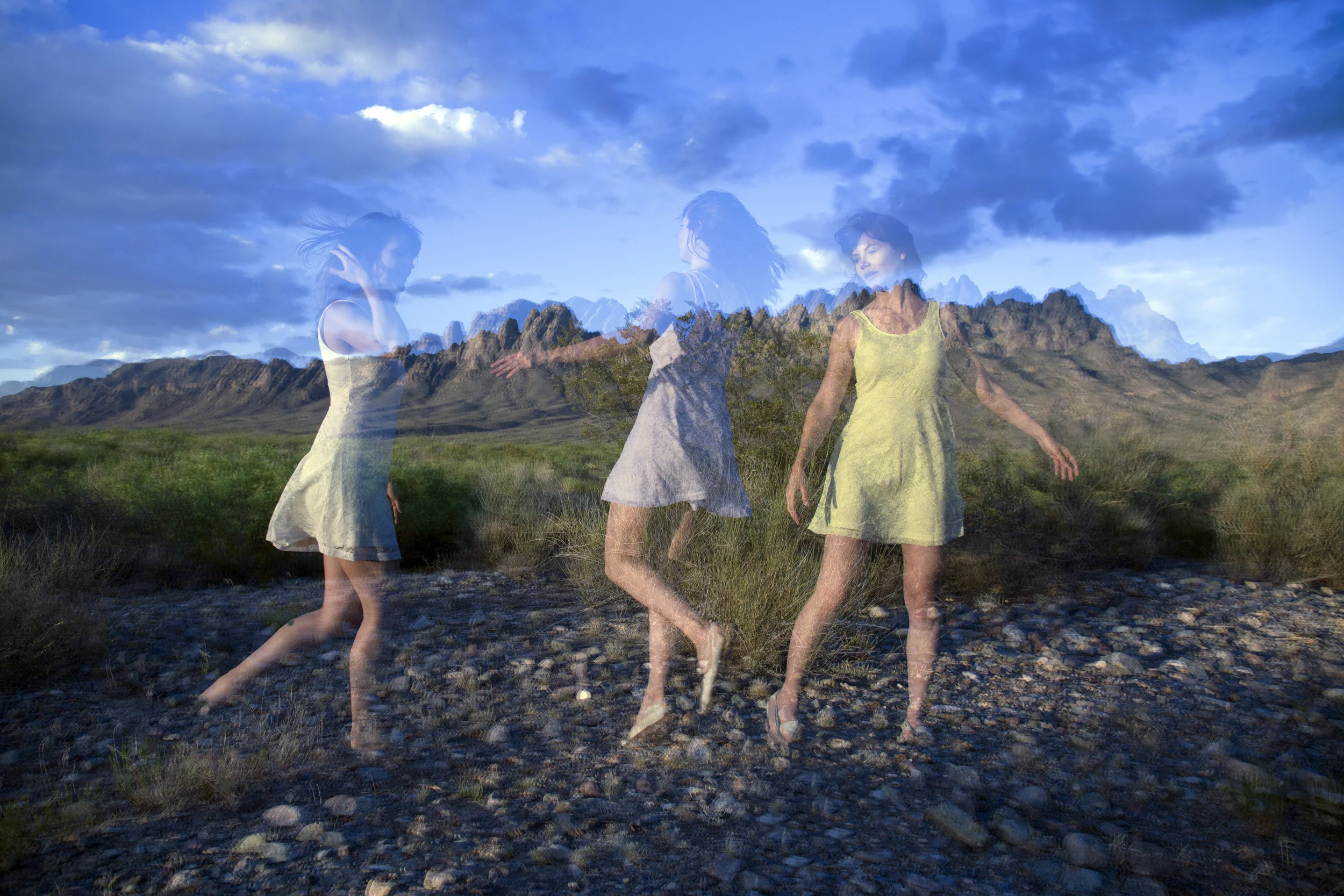 desertspring.jpg