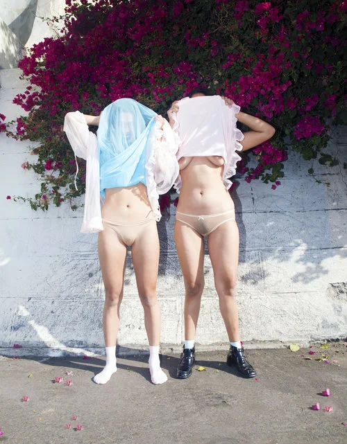 girlgaze.jpg