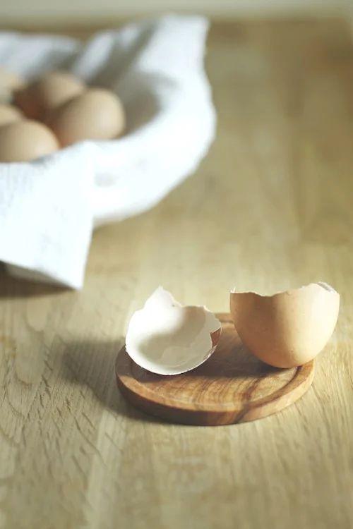 Egg Shell