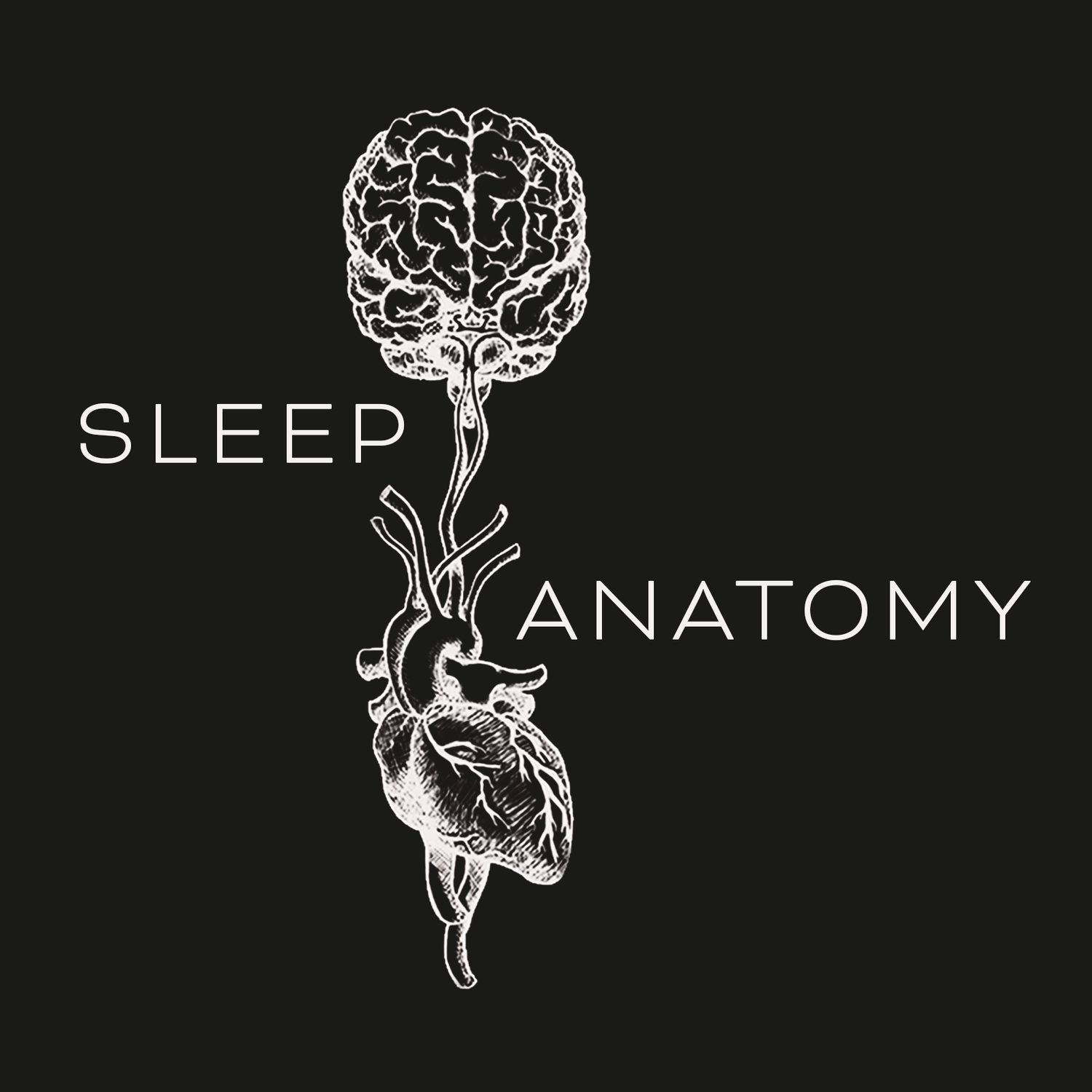 Sleep Anatomy
