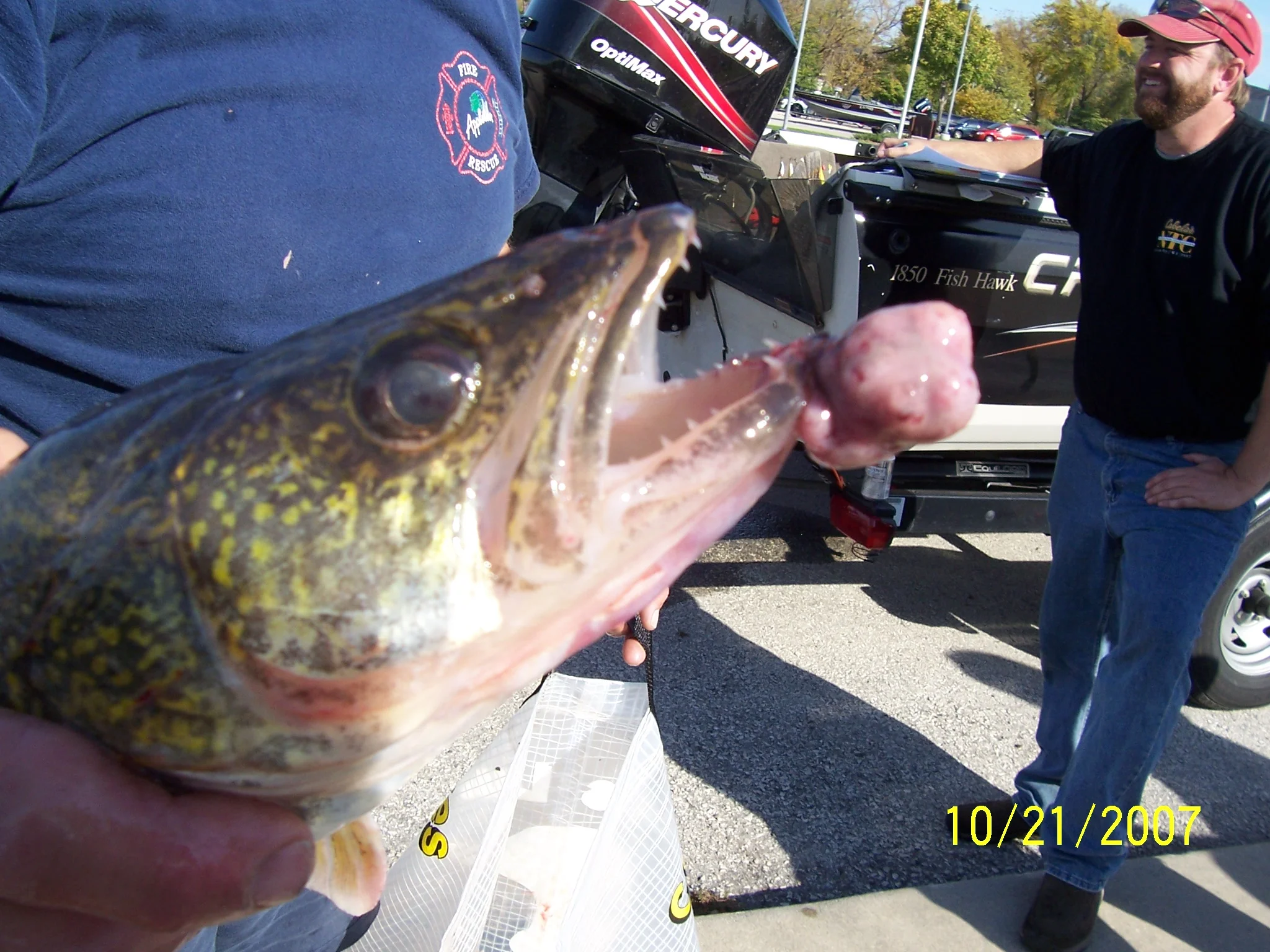 tumor fish.JPG
