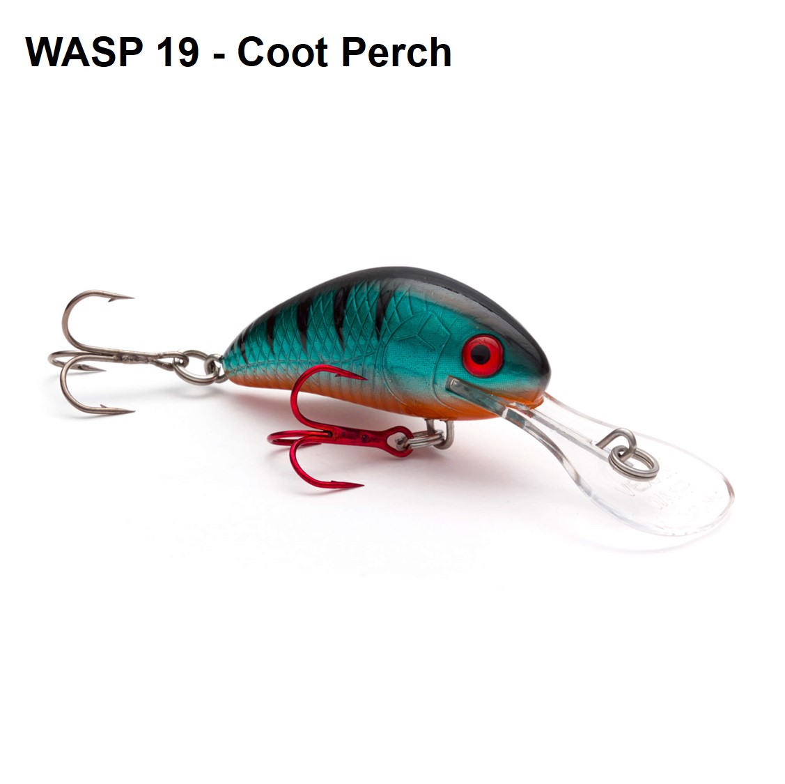 WASP 19 -Coot Perch.jpg