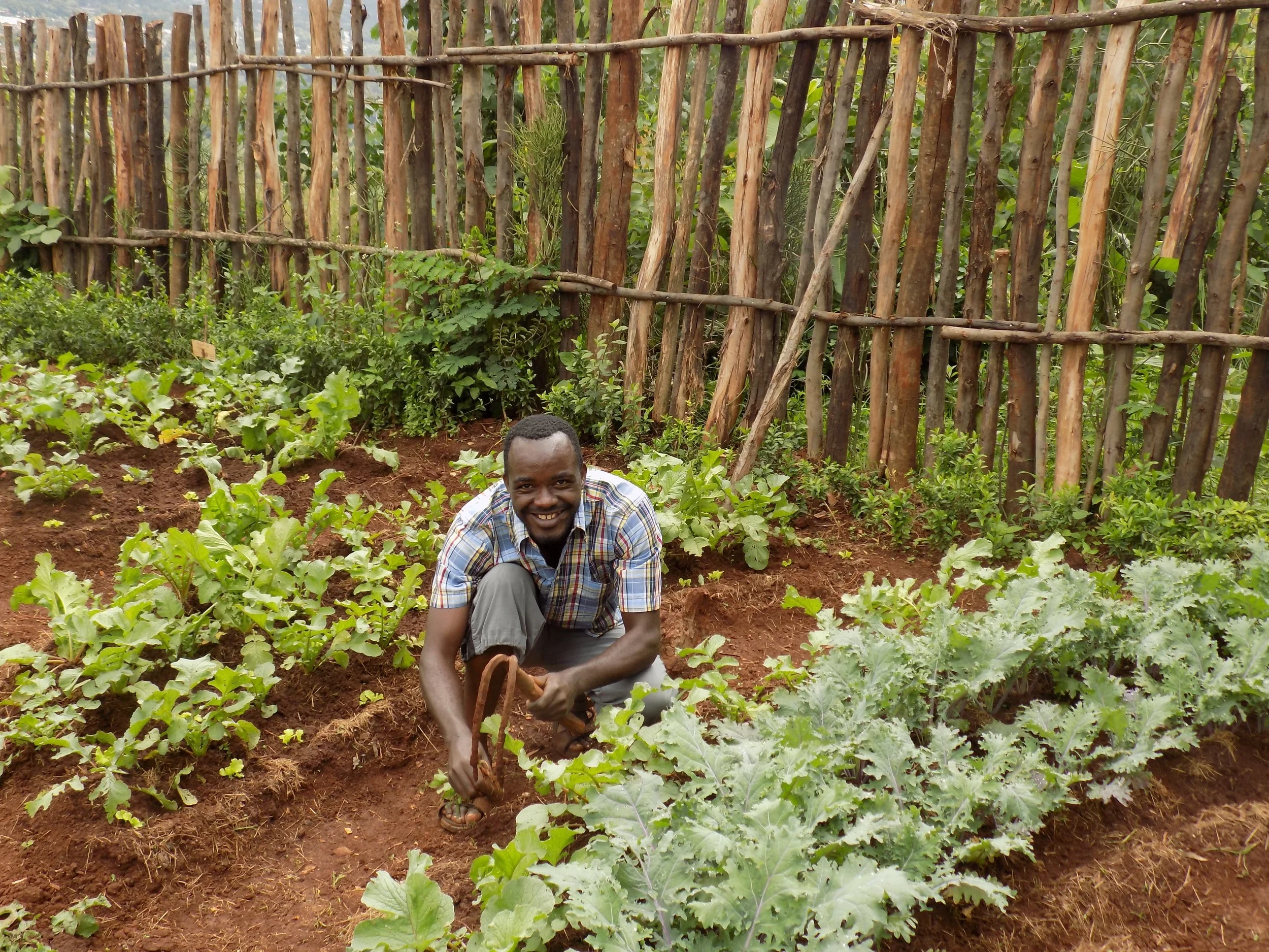 Uryadi's Village Green Thumb!