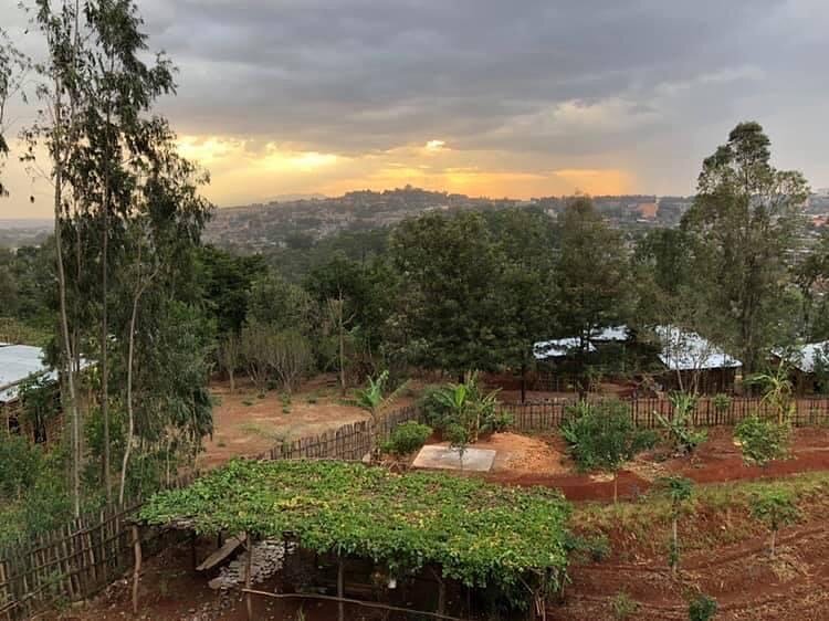 #tbt to when our garden was so much younger! After 2 full years of growth, it&rsquo;s amazing to watch the garden mature and grow into such a productive good source for our growing children.

With Gratitude,
The Uryadi&rsquo;s Village Team

#uryadisv