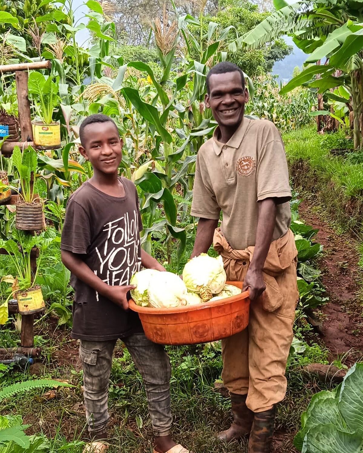 Kitchen delivery! 

Today, Melaku was right there to help with the harvesting of our cabbage! Cabbage is a staple vegetable in Ethiopian cuisine and is a favorite among our Village family. 

With Gratitude,
The Uryadi's Village Team

#ethiopia #inter