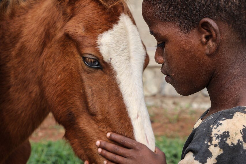 Today we say a BIG thank you to Rodrigo Pessoa and his family! Because of their generous sponsorship, we have been able to welcome our firsts pony, Timbit, to the Village family! It is an honor to have such an incredible horsemen generously support a