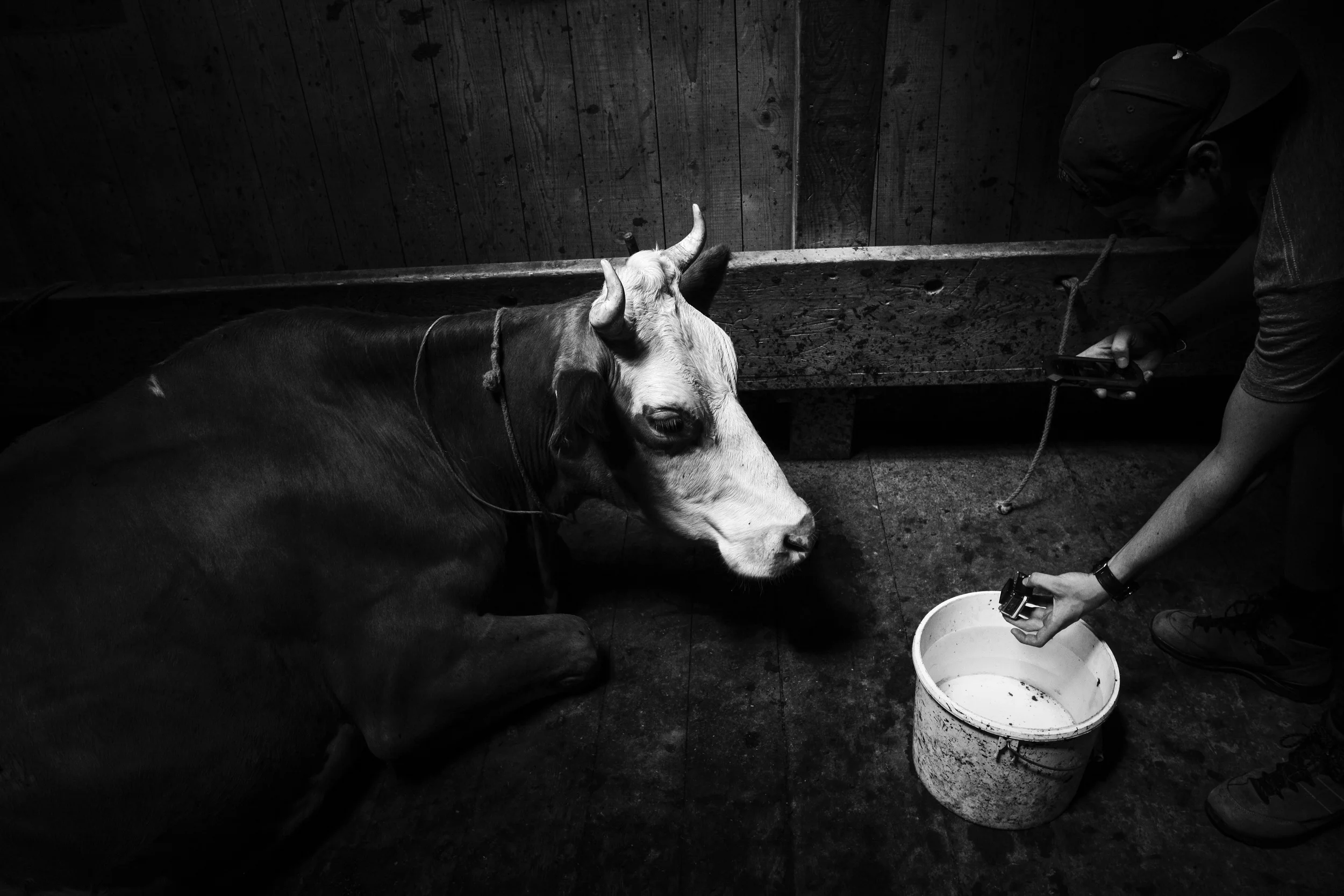 _MG_6191 copy.jpg