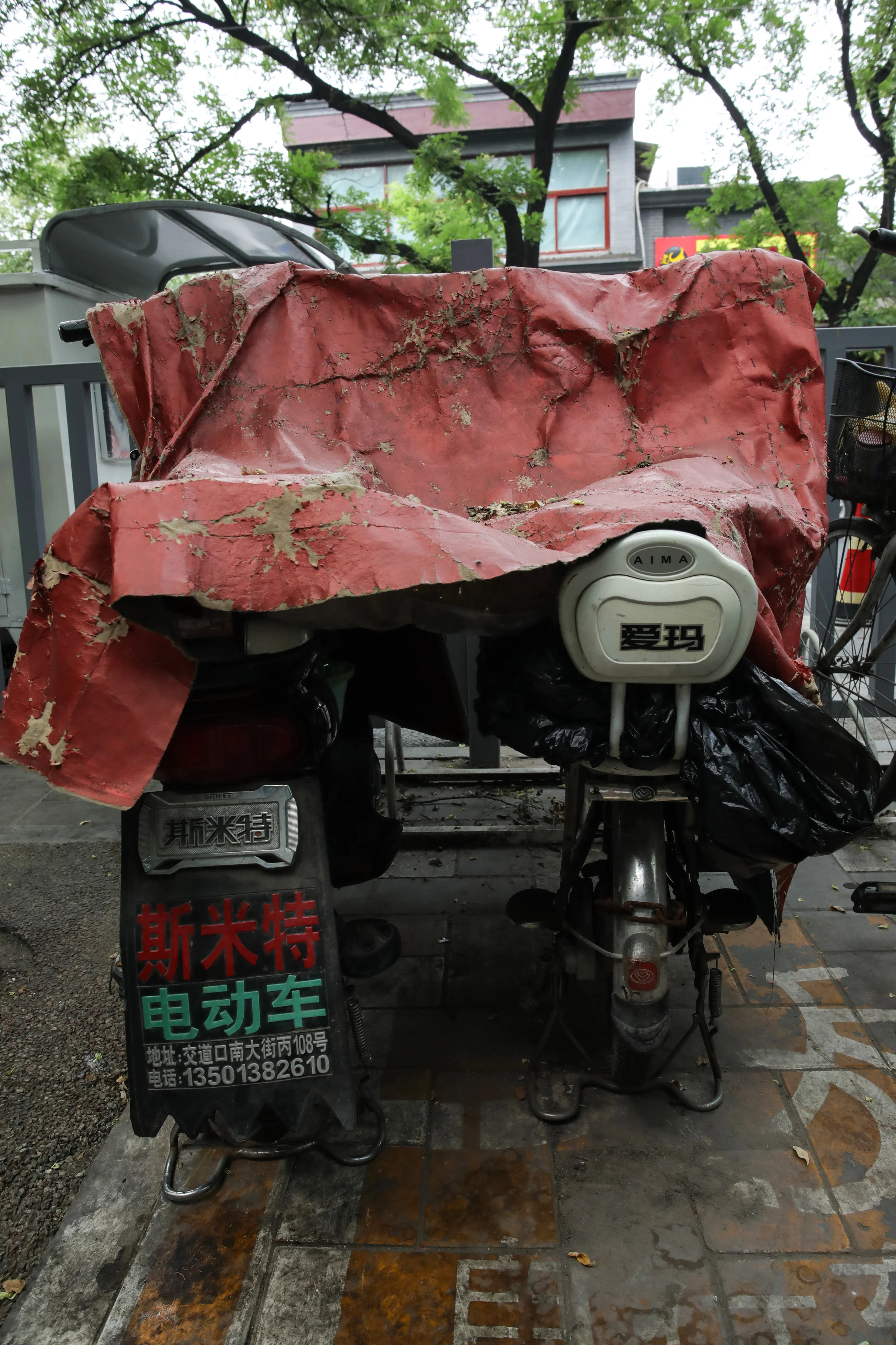 0A2A8471 3 copy.jpg