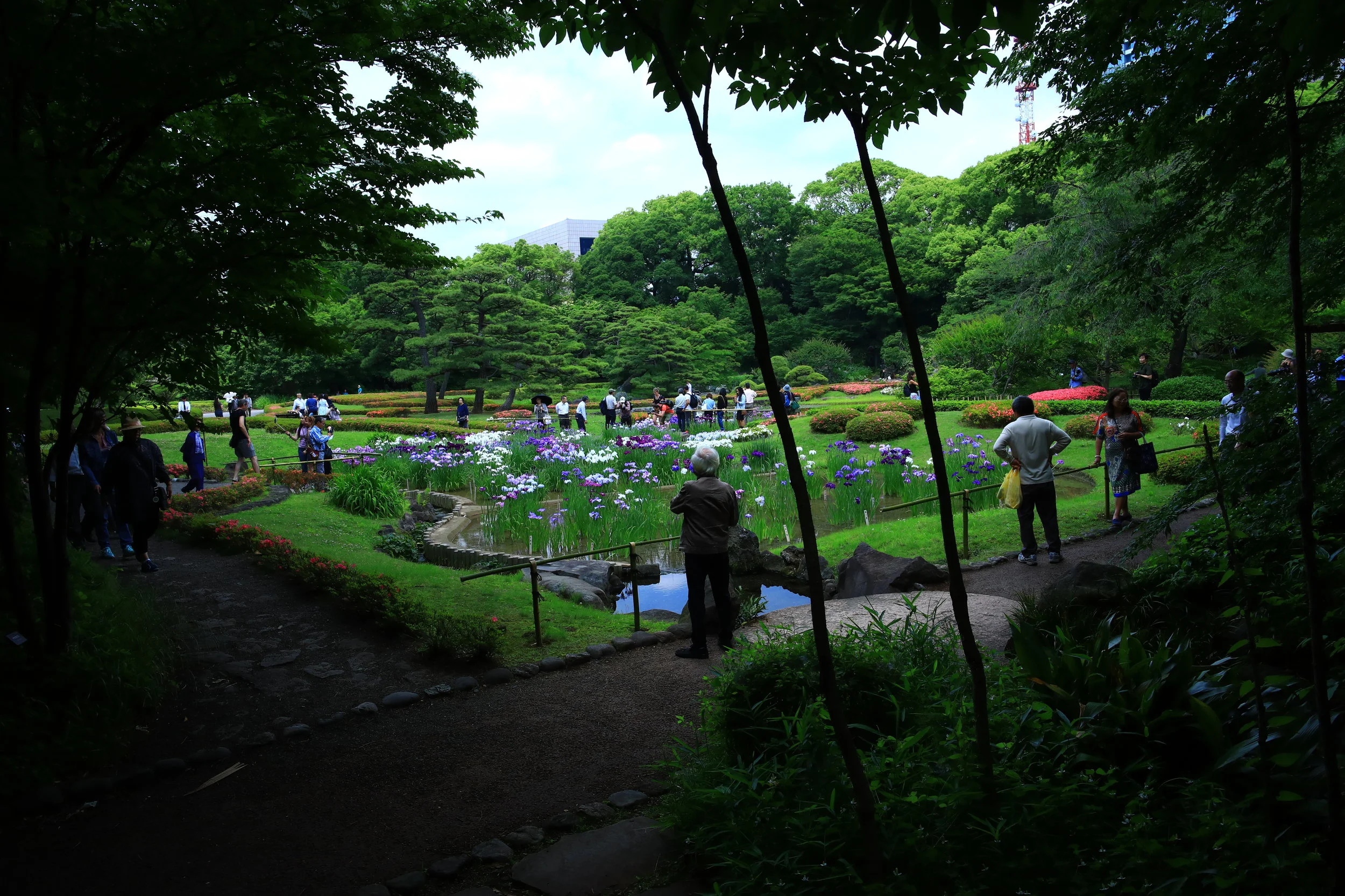 0A2A5488.JPG