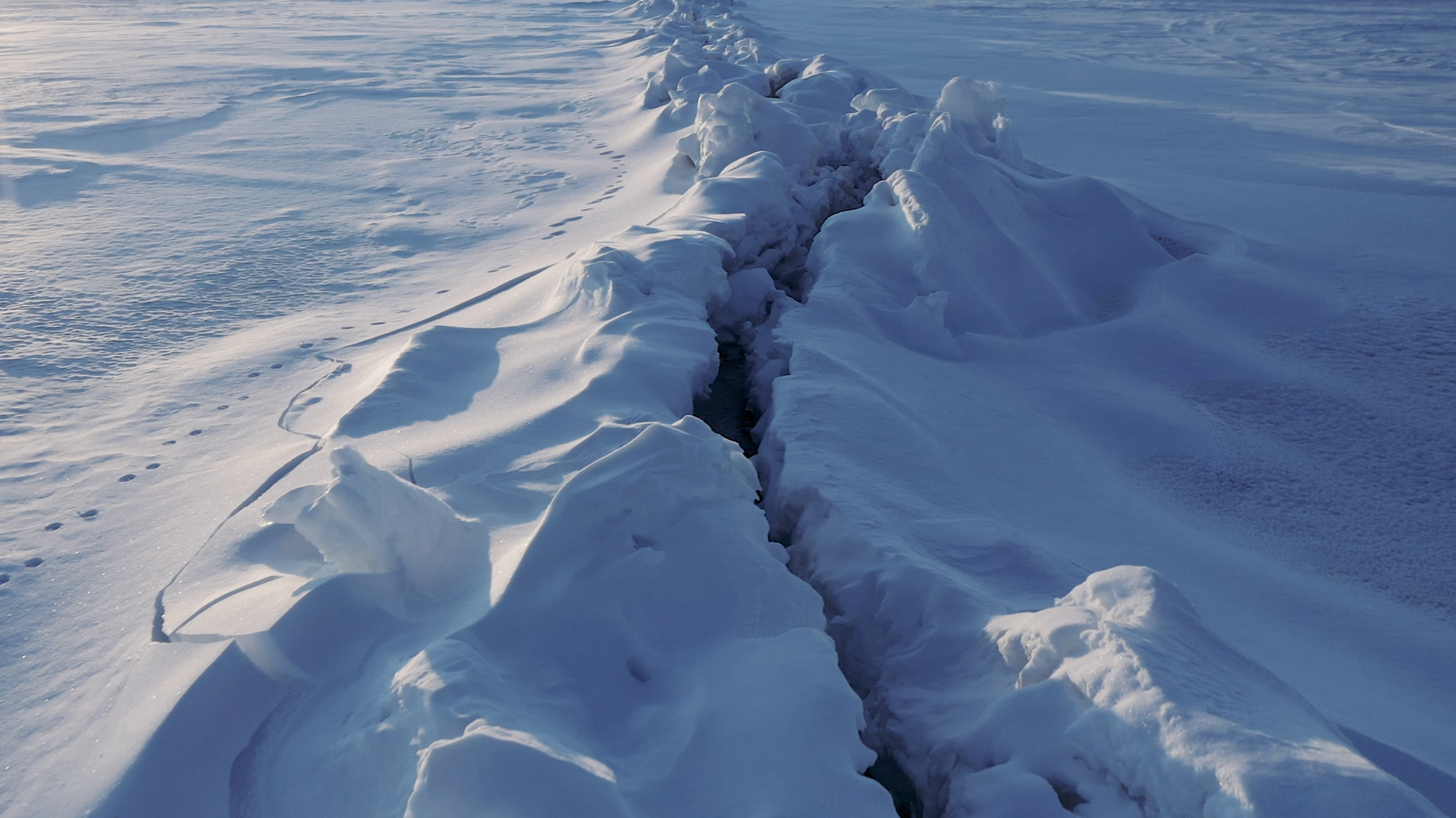 Screenshot 2026-01-04 at 8.19.22 PM.png