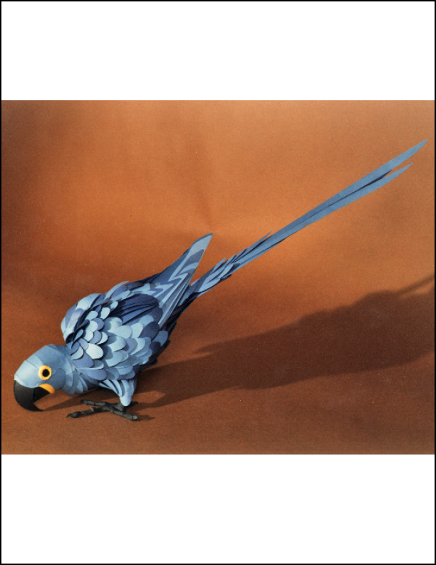 Hyacinthine Macaw.png