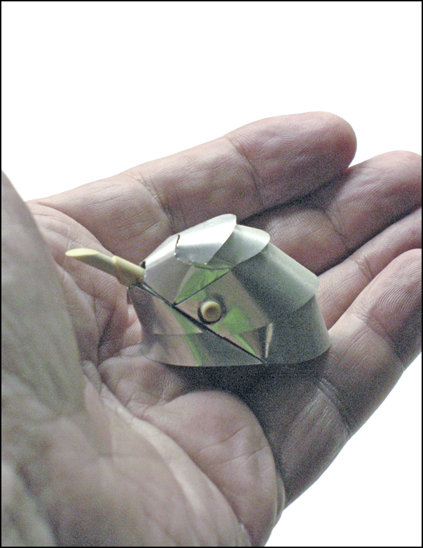 Dove in the Hand.png