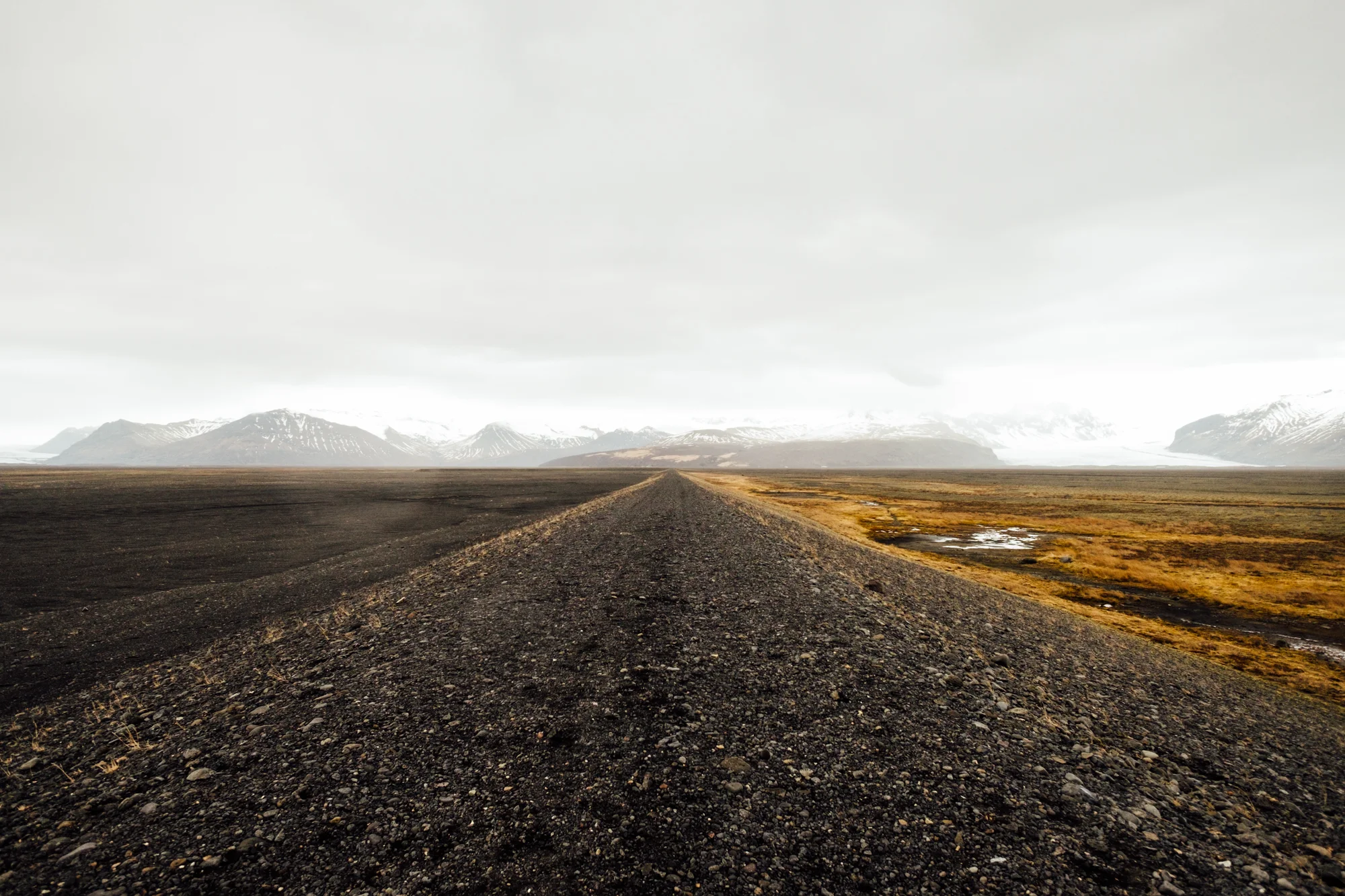 Another photo from a roadside stop. This is a road that was blocked off heading inland towards a glacier.
