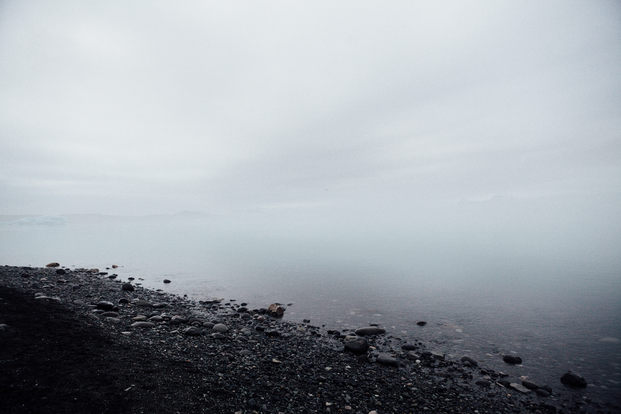  The lagoon appears incredibly still, but the water actually moves pretty quickly. There is also a large concentration of Iceland’s wildlife in the lagoon (including seals!). 