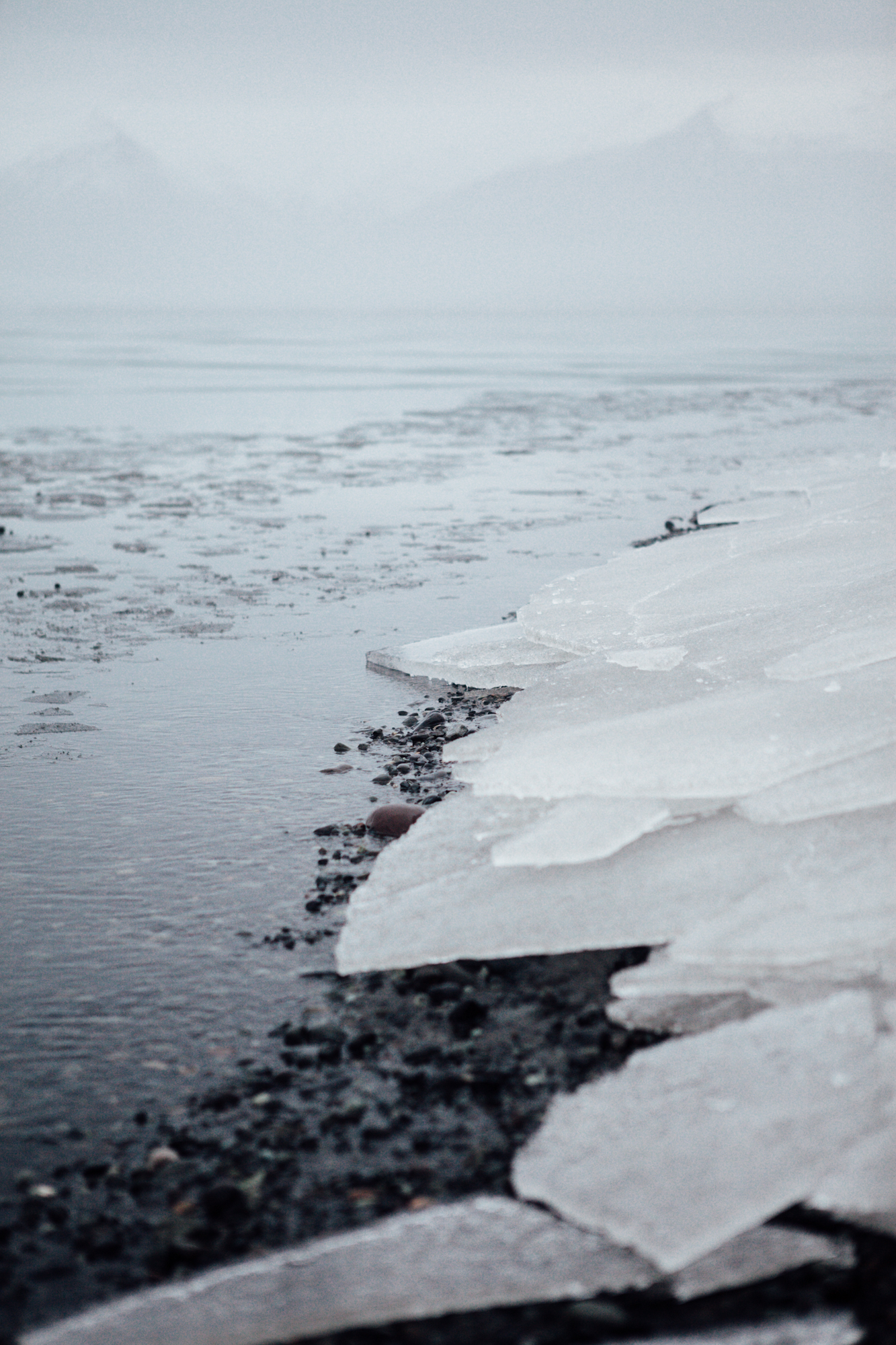  Sheets of ice that drifted on shore from the lagoon at Jökulsárlón. 