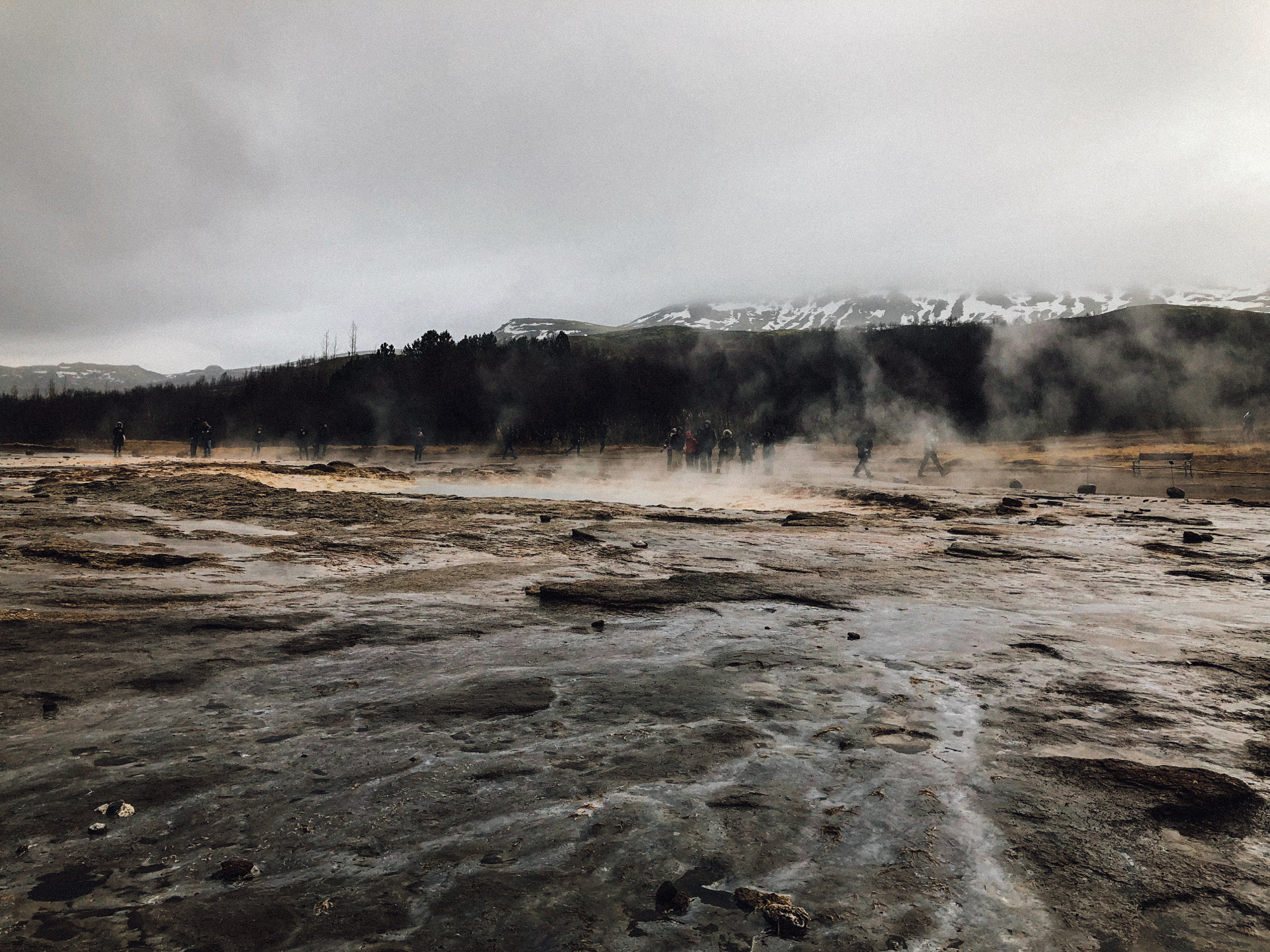  Geysir is currently inactive, but a nearby geyser was erupting every few minutes! We got to see it go offer two or three times before heading to our next stop. 