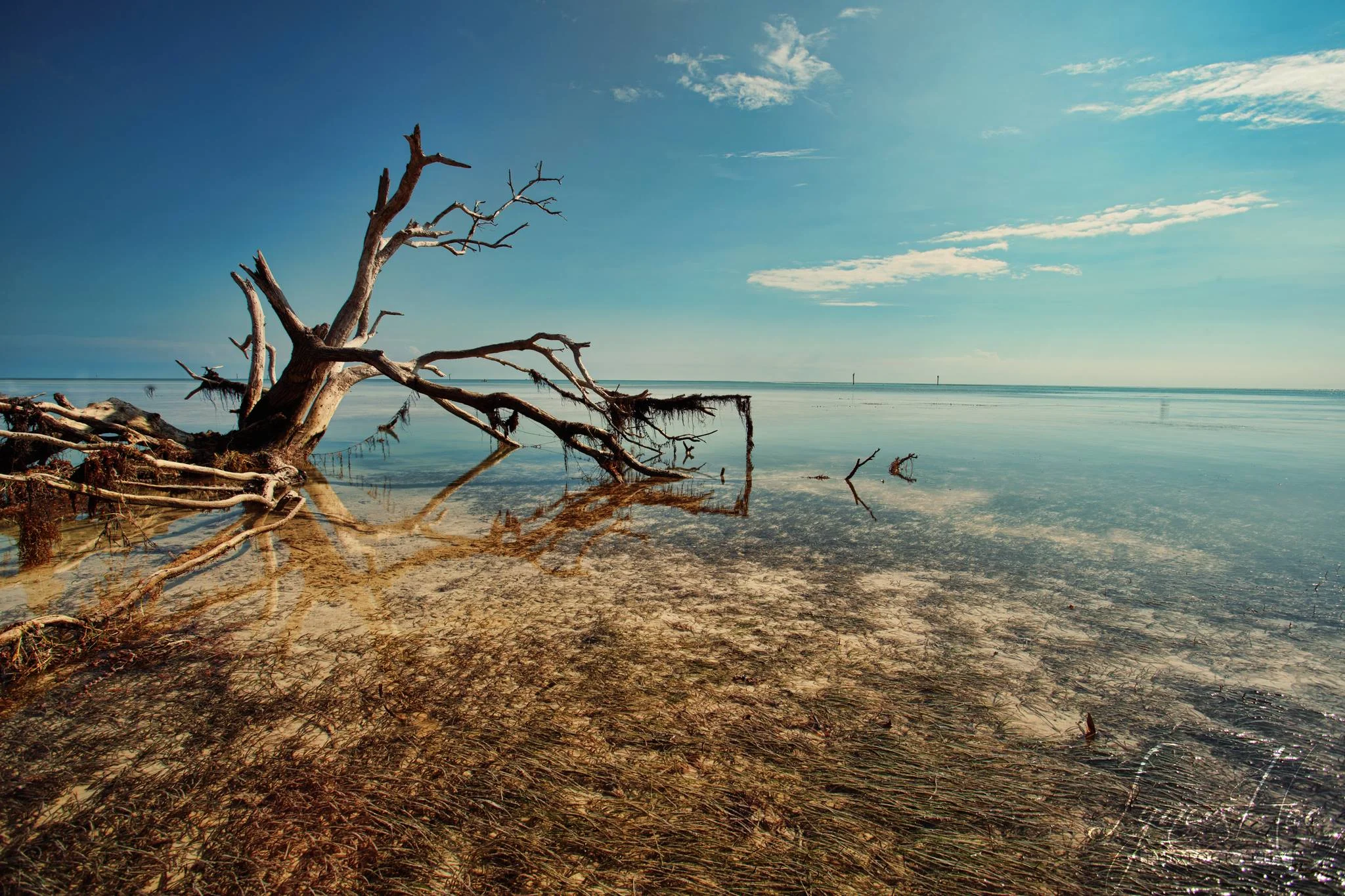 Florida Keys 002.jpg