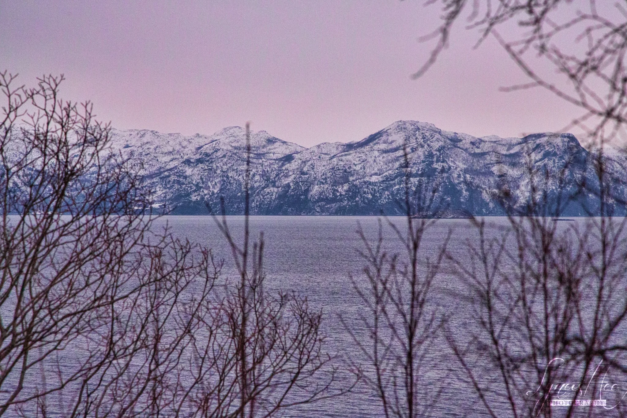 Fjord.jpg