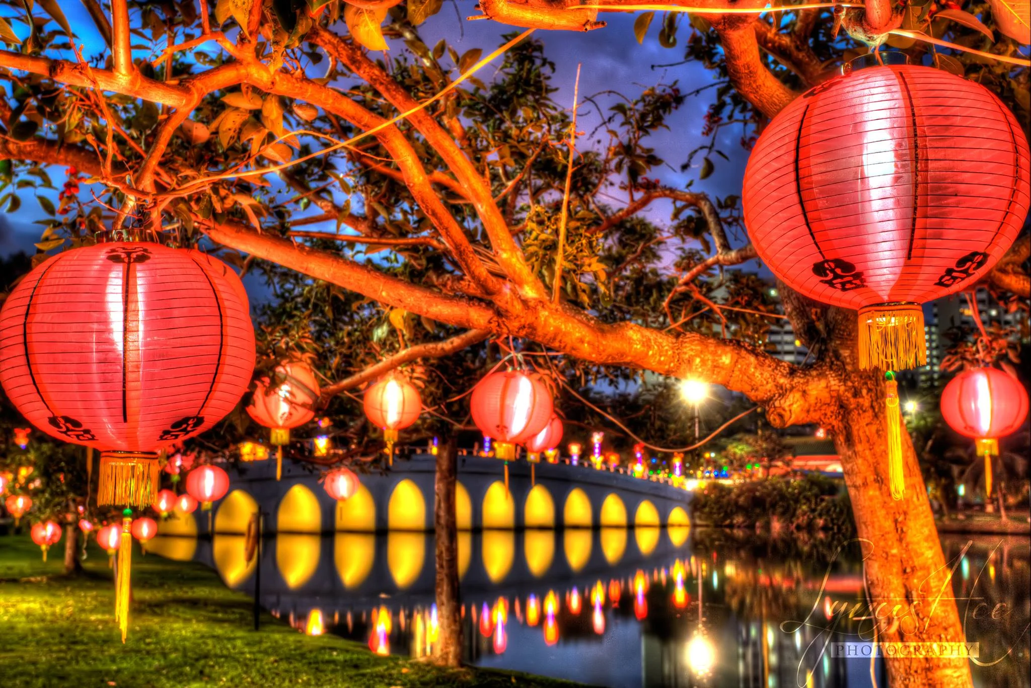 Chinese Garden.jpg