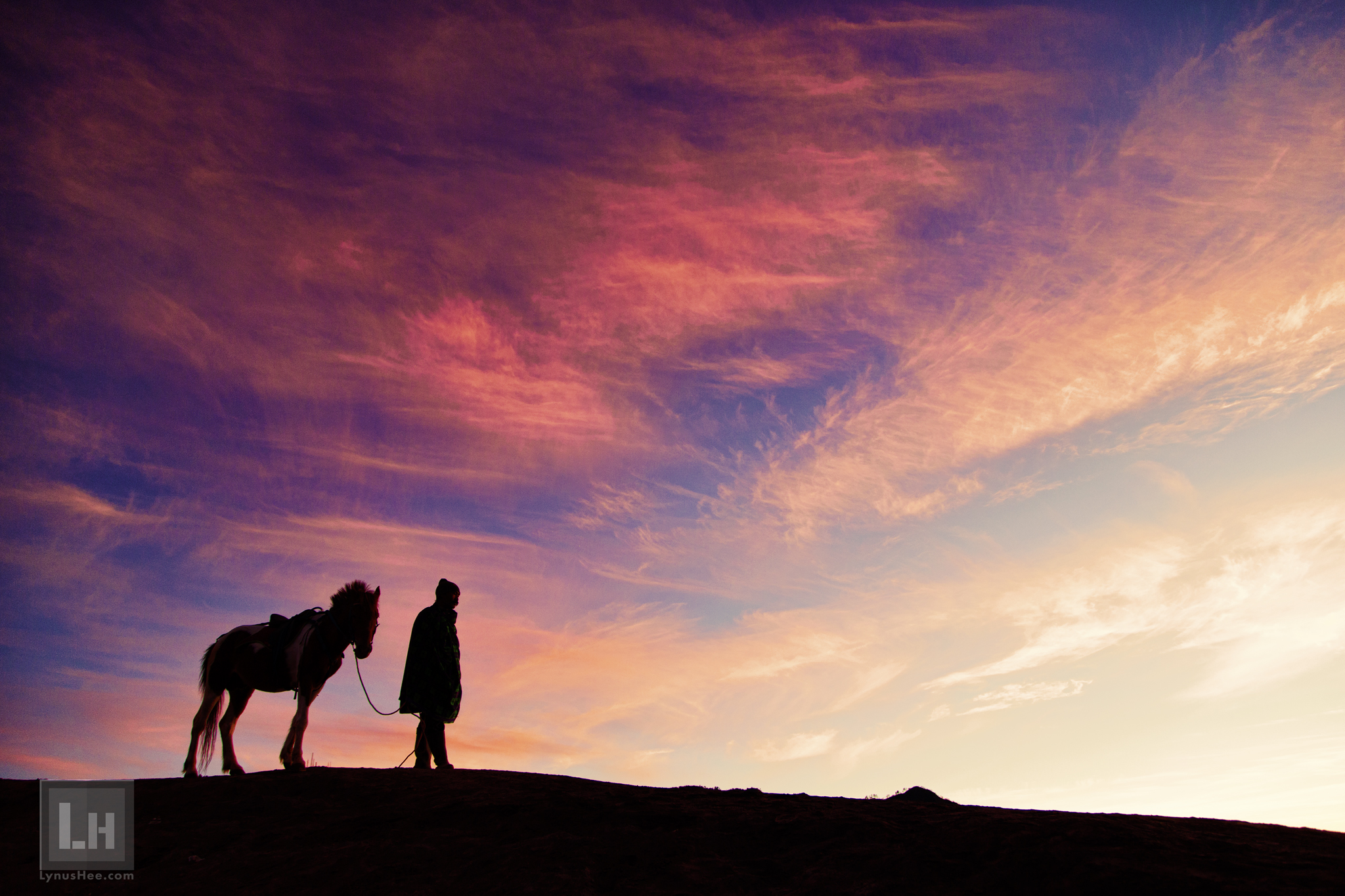 Horseman at Dawn