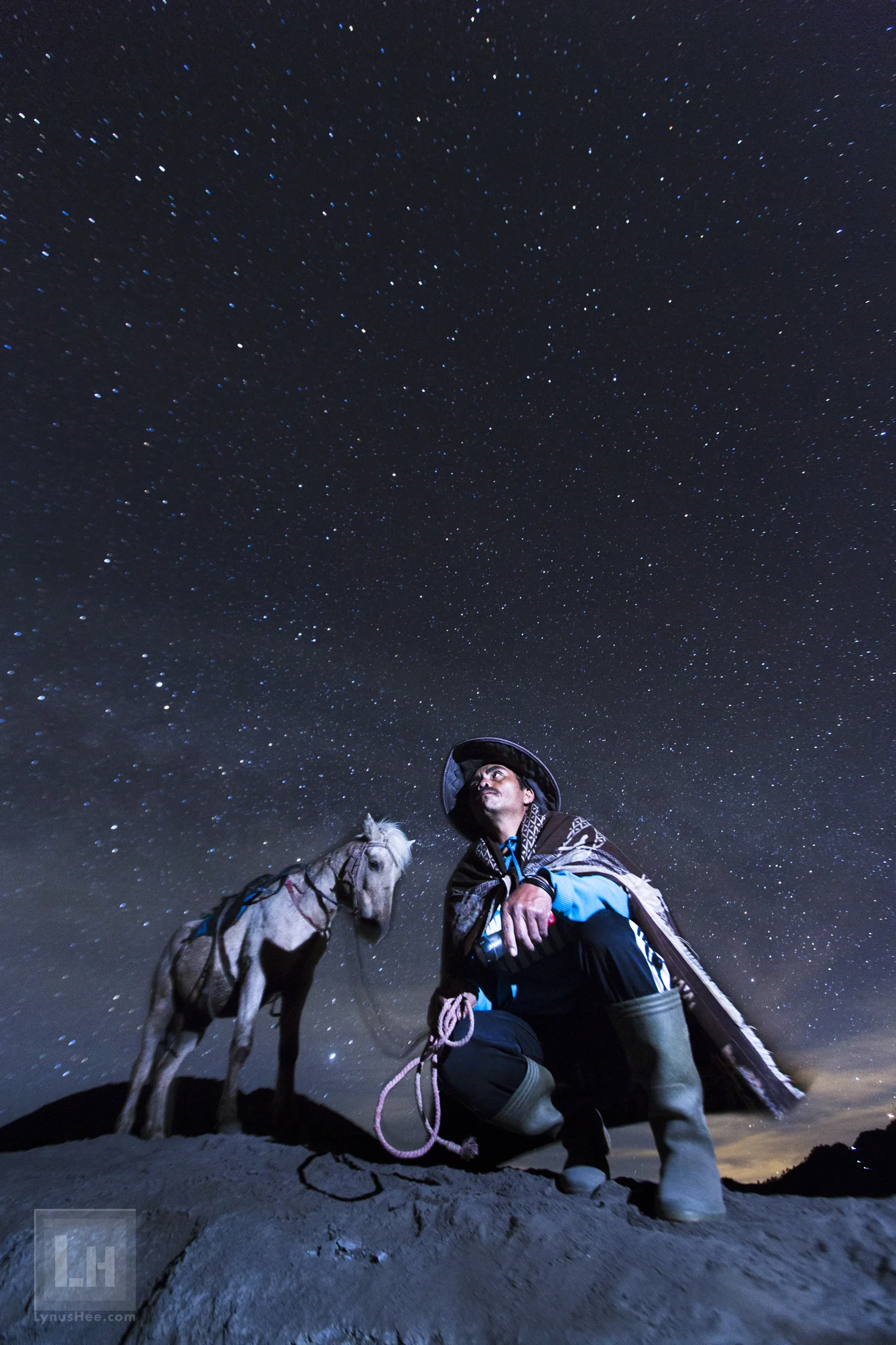 The Night Horseman