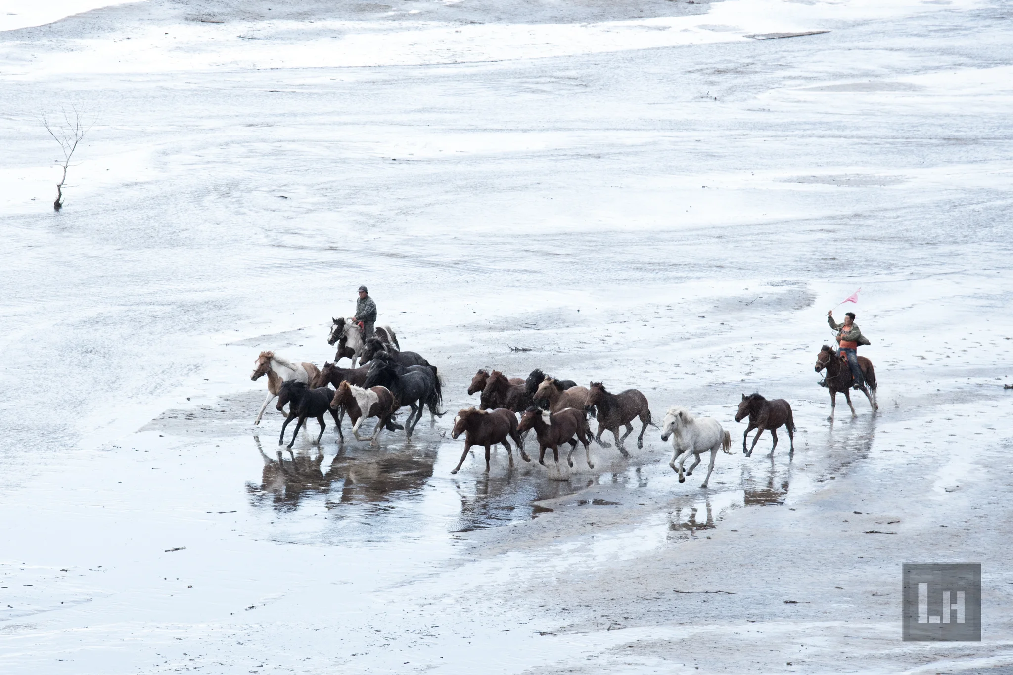 Mongolian Races