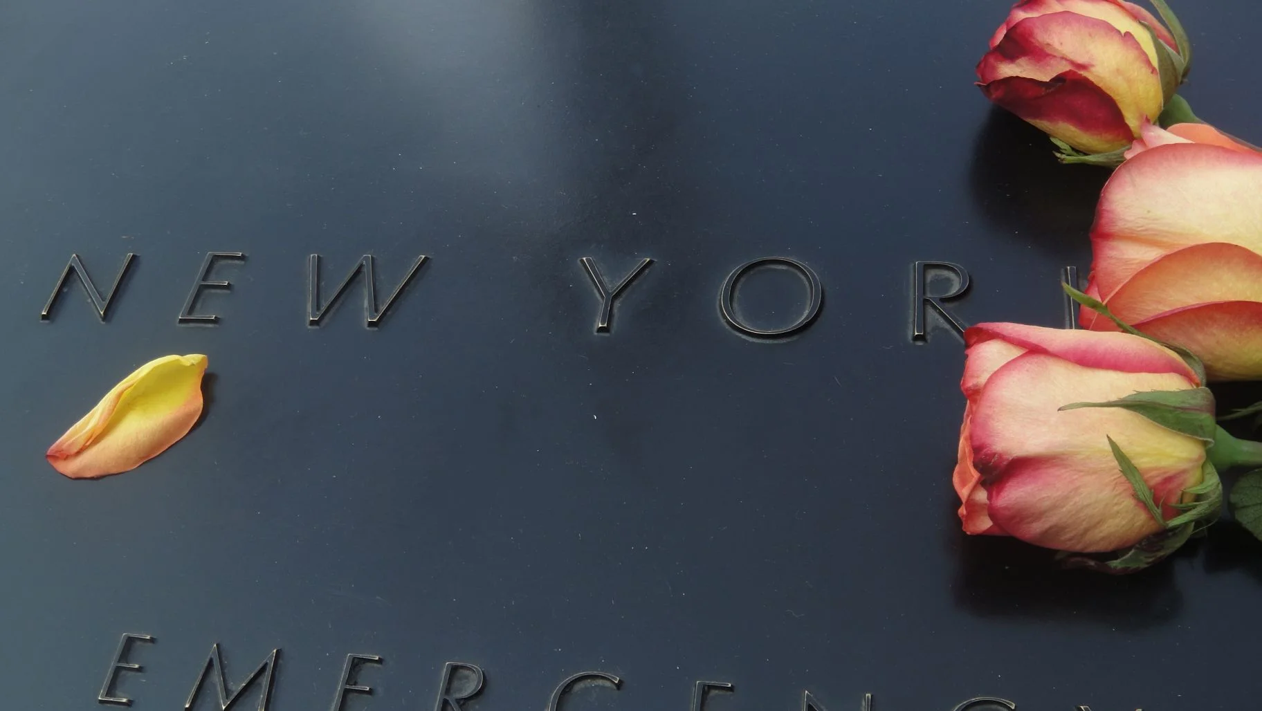 Playing the Downtown Blues