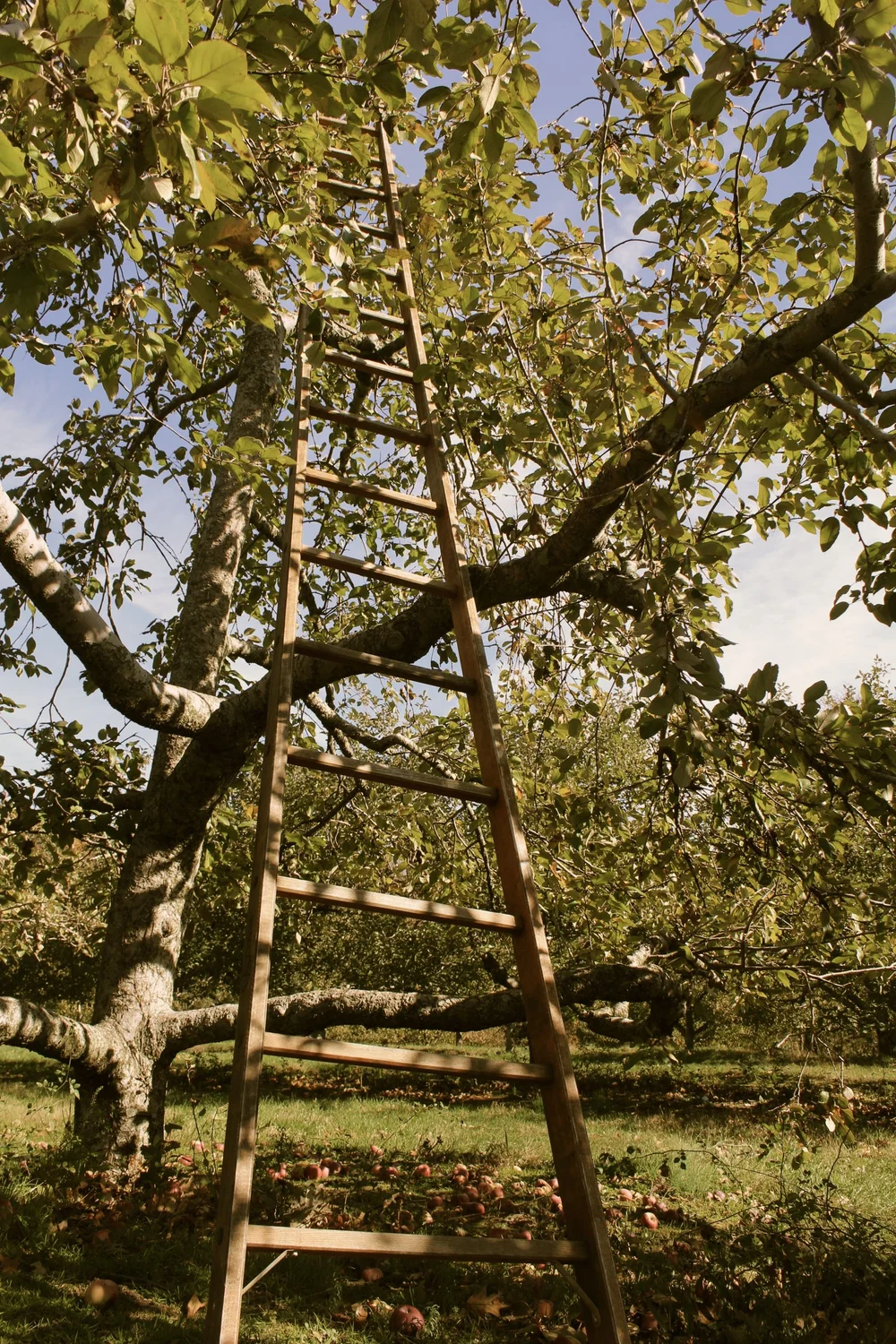 batch_IMG_5958 - Version 3.jpg