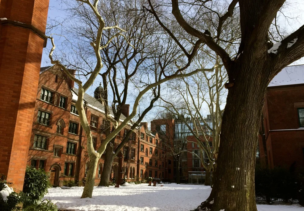 batch_2015-01-29 11.18.04.jpg