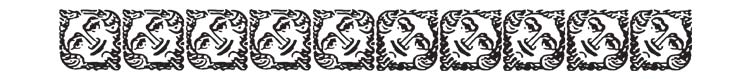 Face Border