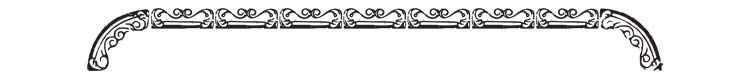 Nutritive Coffee Border