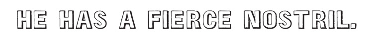 The Silver Sunbeam - Uppercase: Yes Lowercase: No Numerals: No