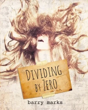 Dividing by Zero cover - designed by megan cary