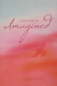 aplaceneverimagined.jpg
