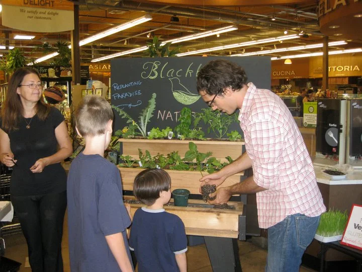 Whole Foods: Tempe, AZ