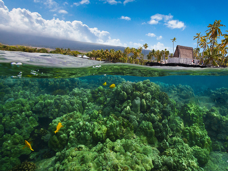 Underwater adventures at Honaunau Bay