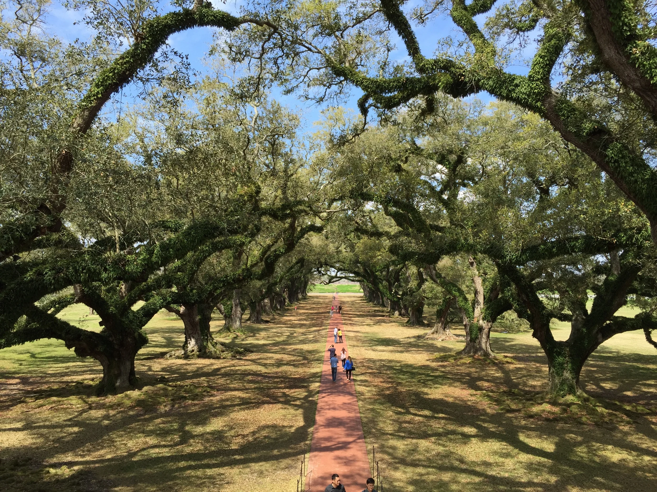 What view from the second floor porch! (click to enlarge)