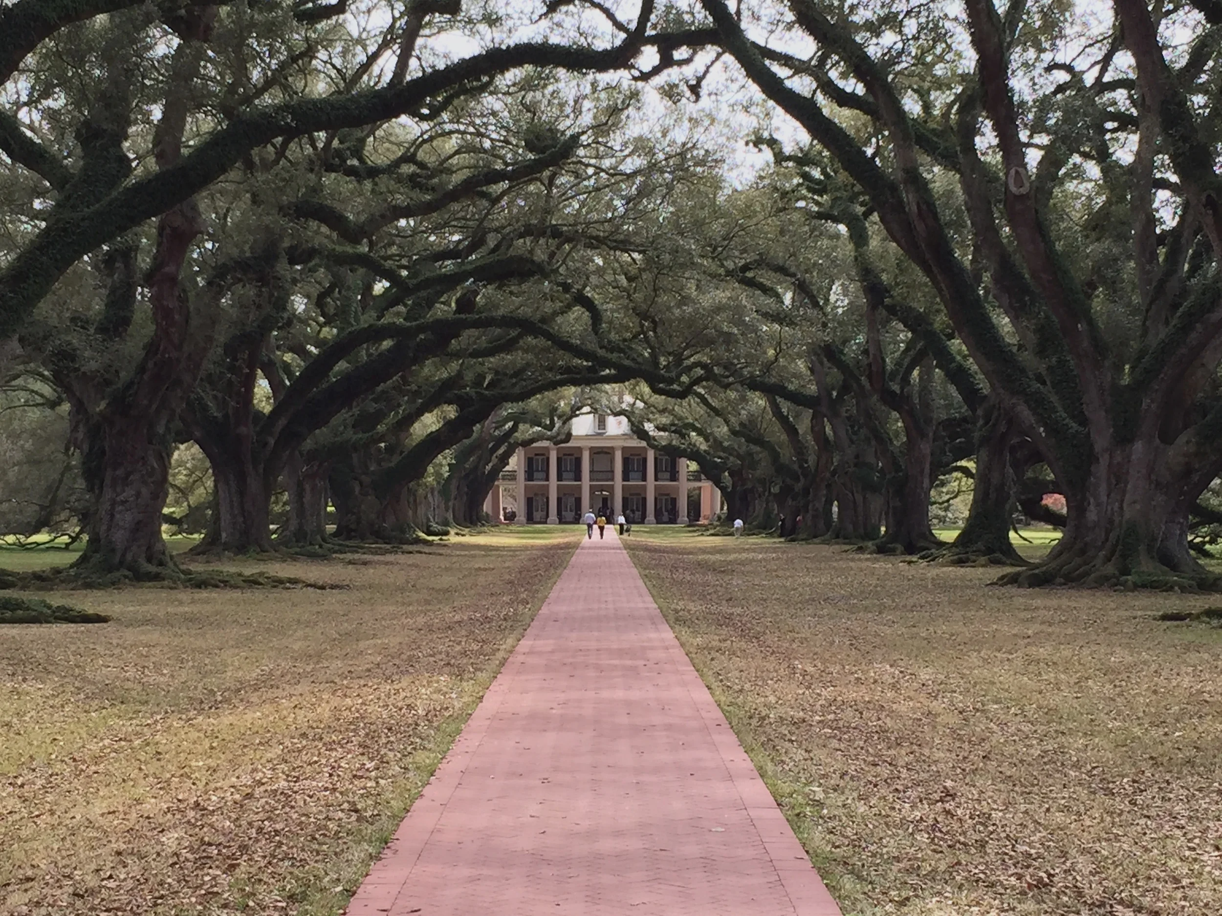 Oak Alley Plantation - THE antebellum plantation