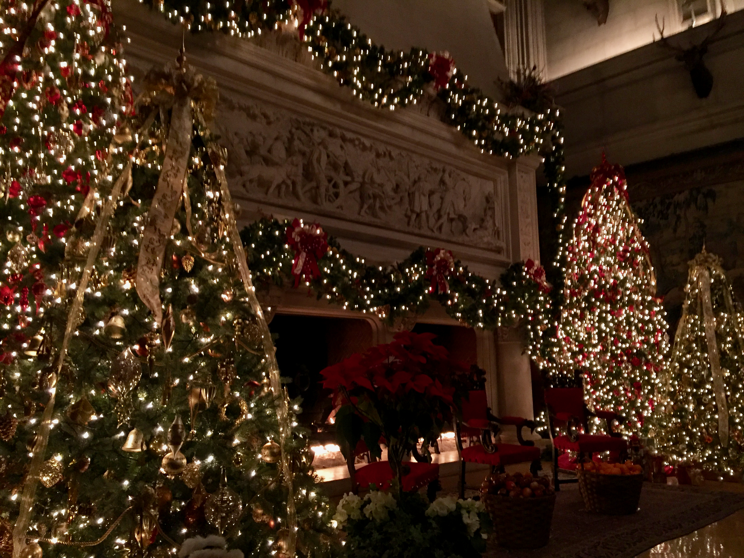 Christmas trees flank a large fireplace.