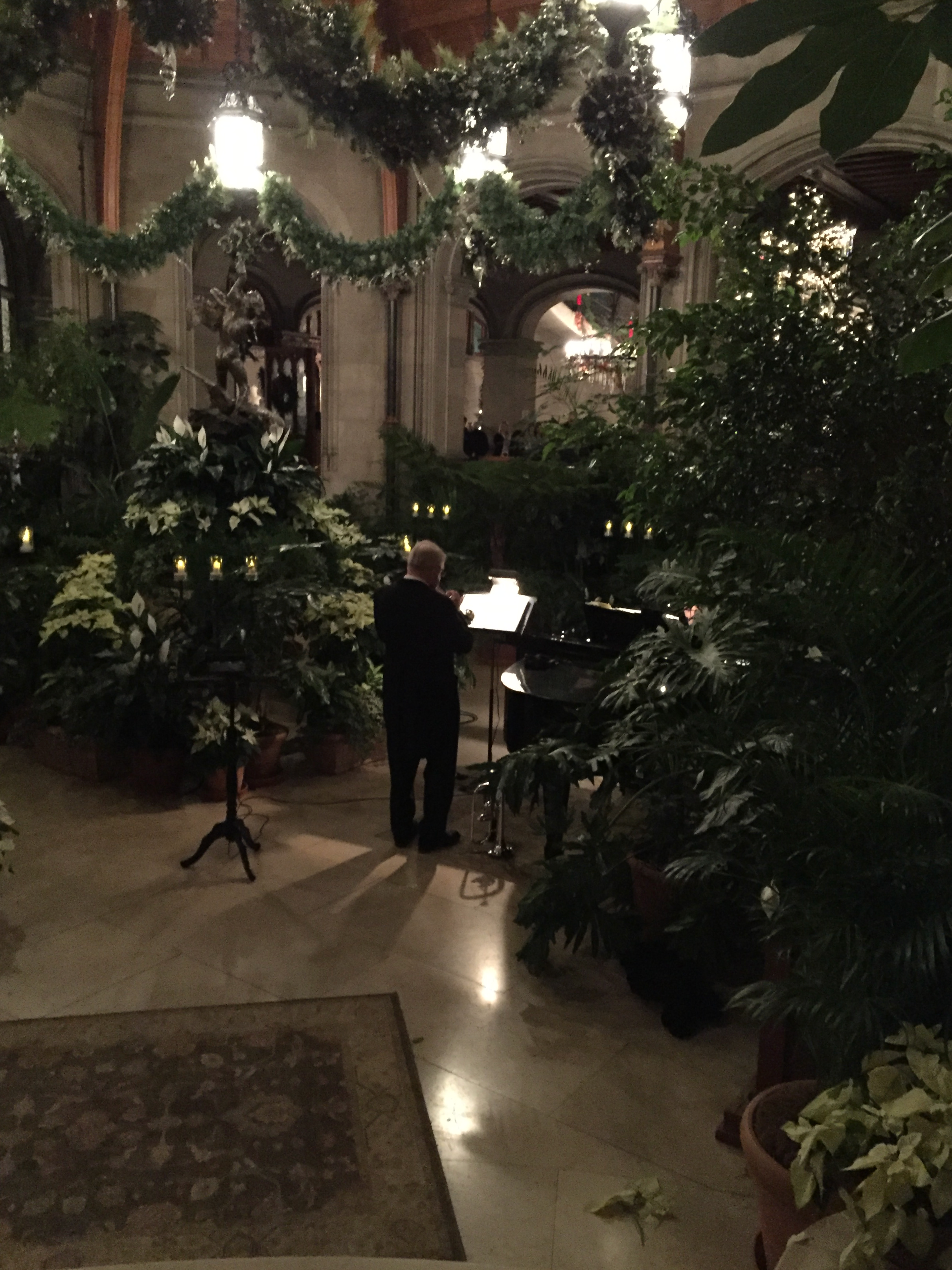 A musician plays amid the greenery in the atrium.