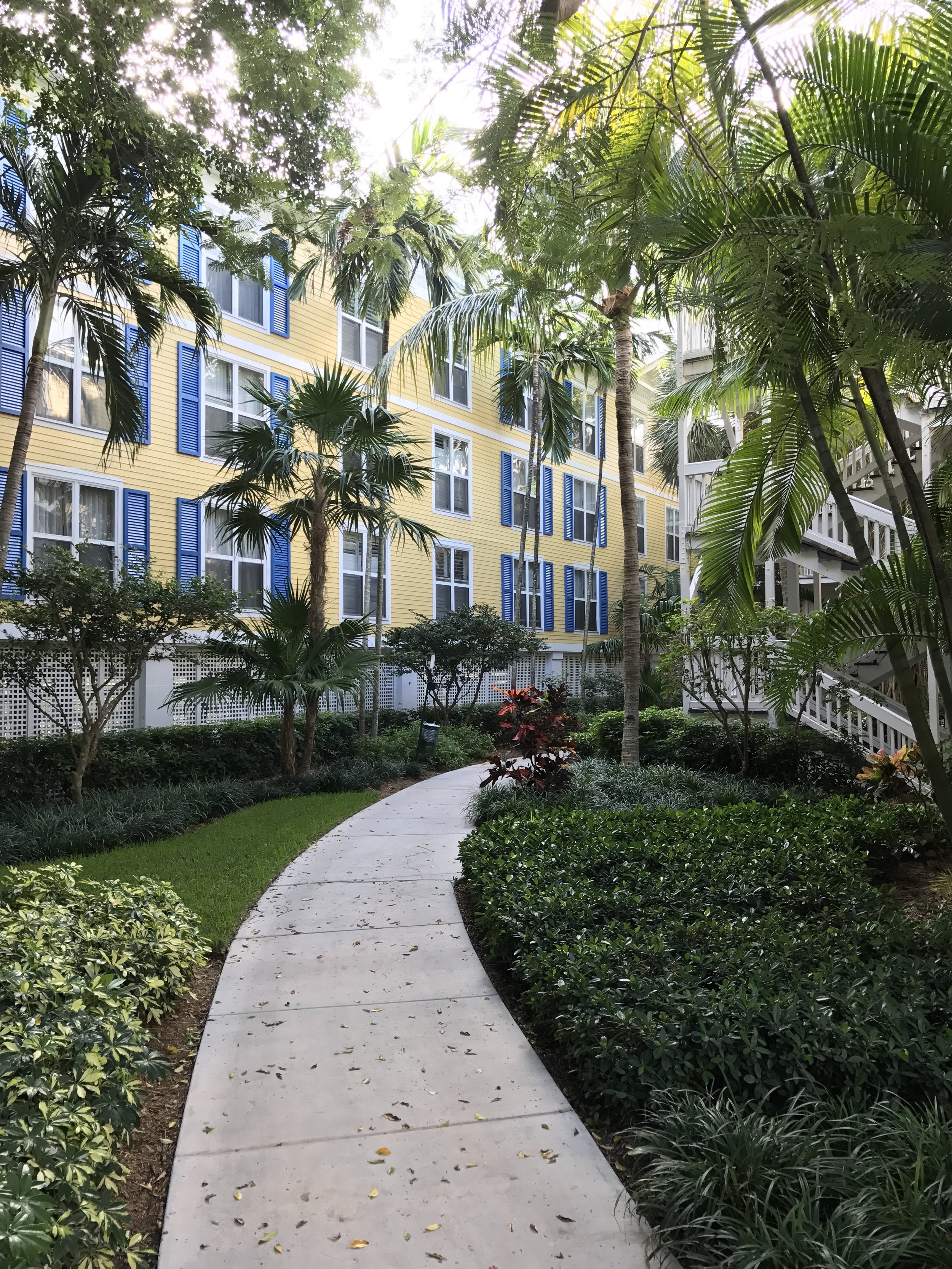 Walkway amid lush vegetation