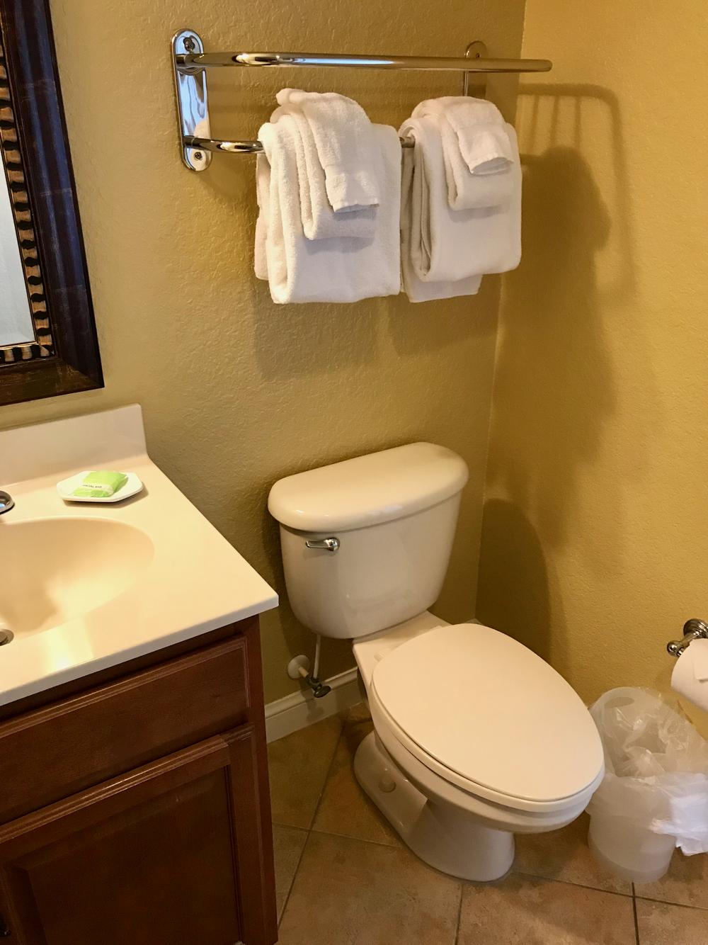 Condo master bath private area