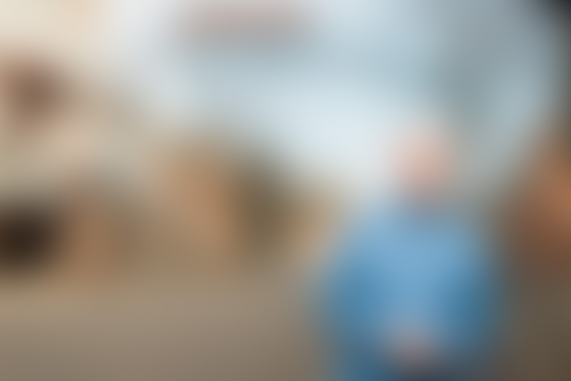 MDP_1466-Blur.jpg