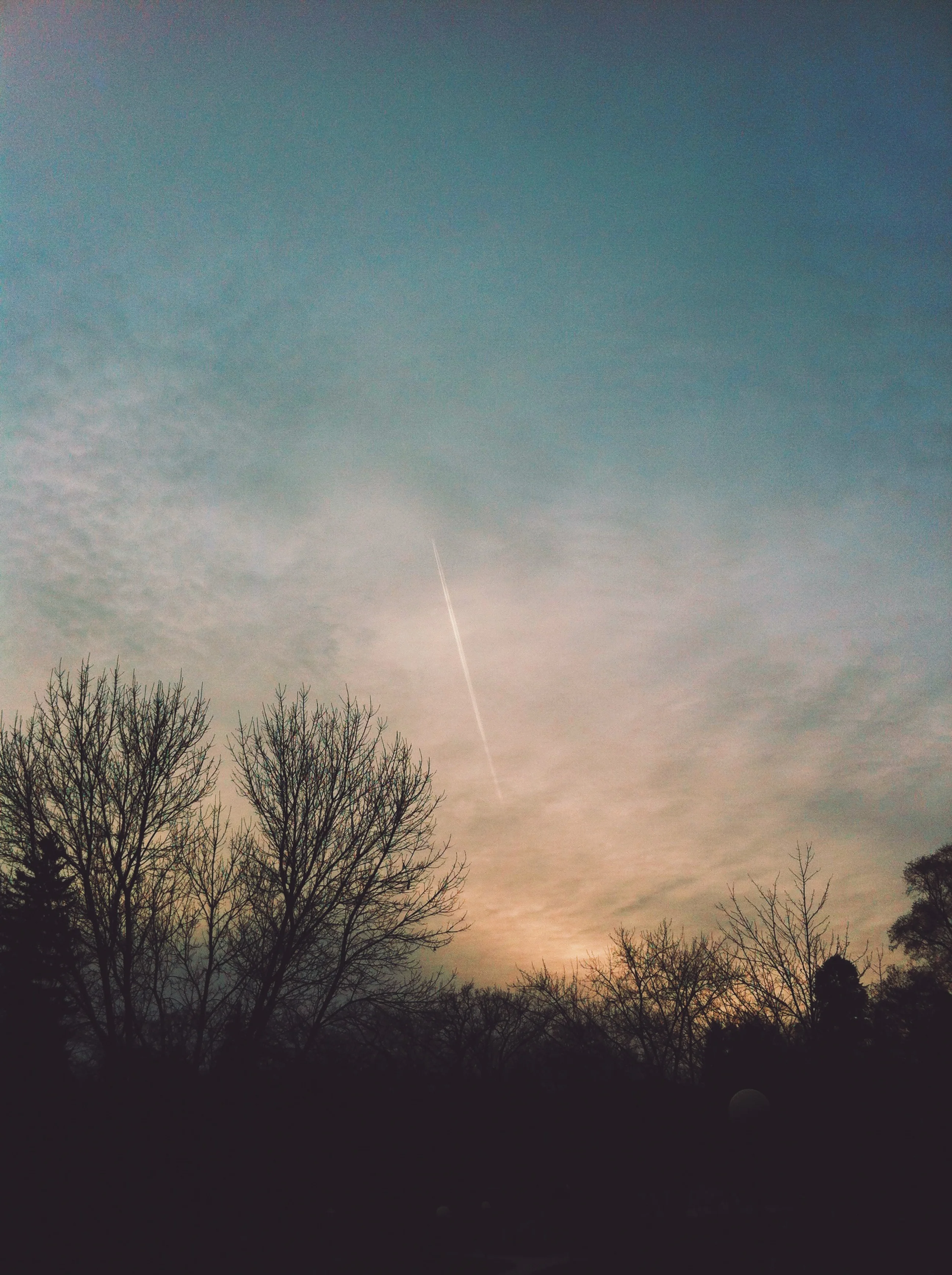 The Beautiful Struggle