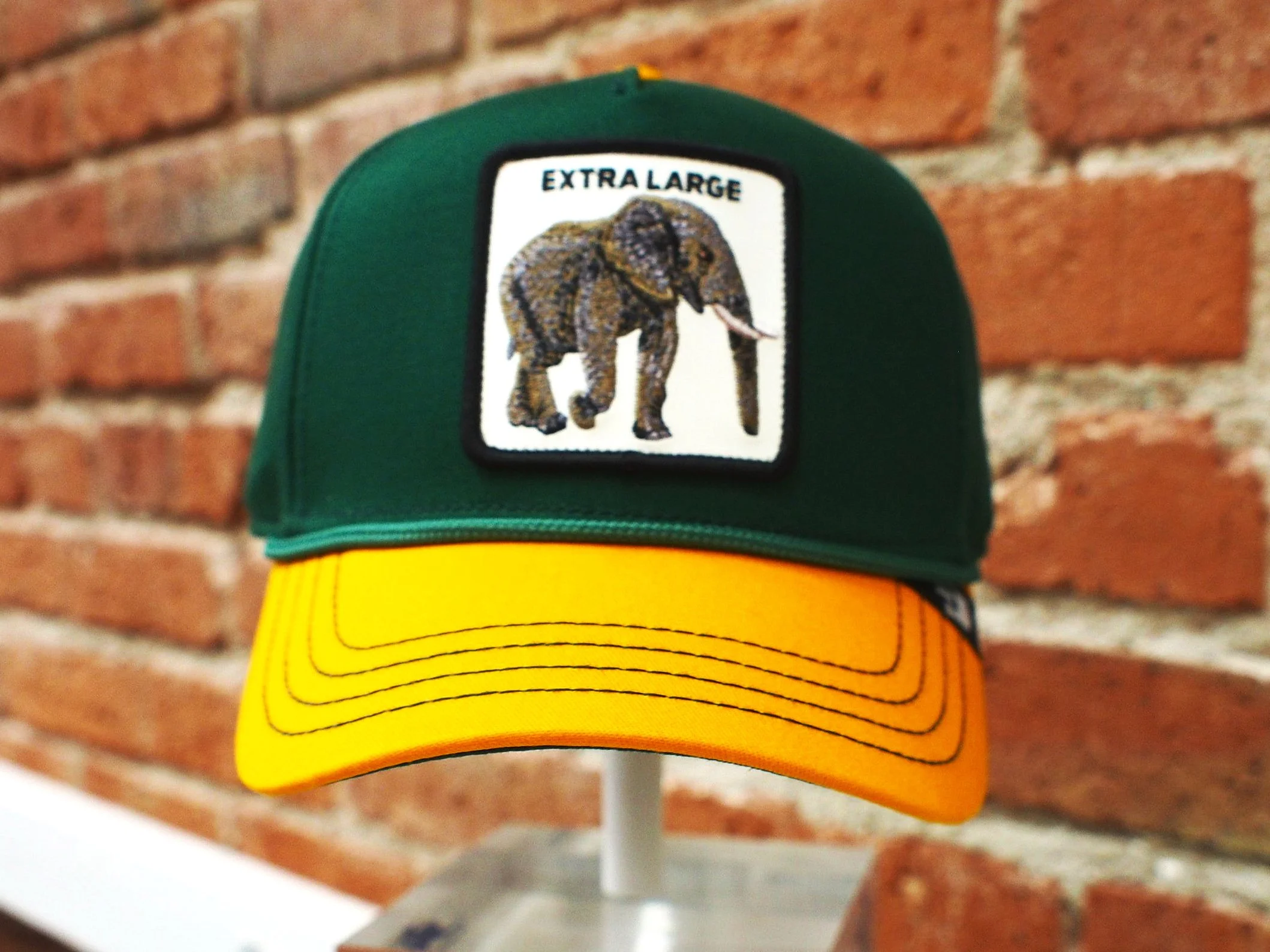 Extra Large Goorin Elephant