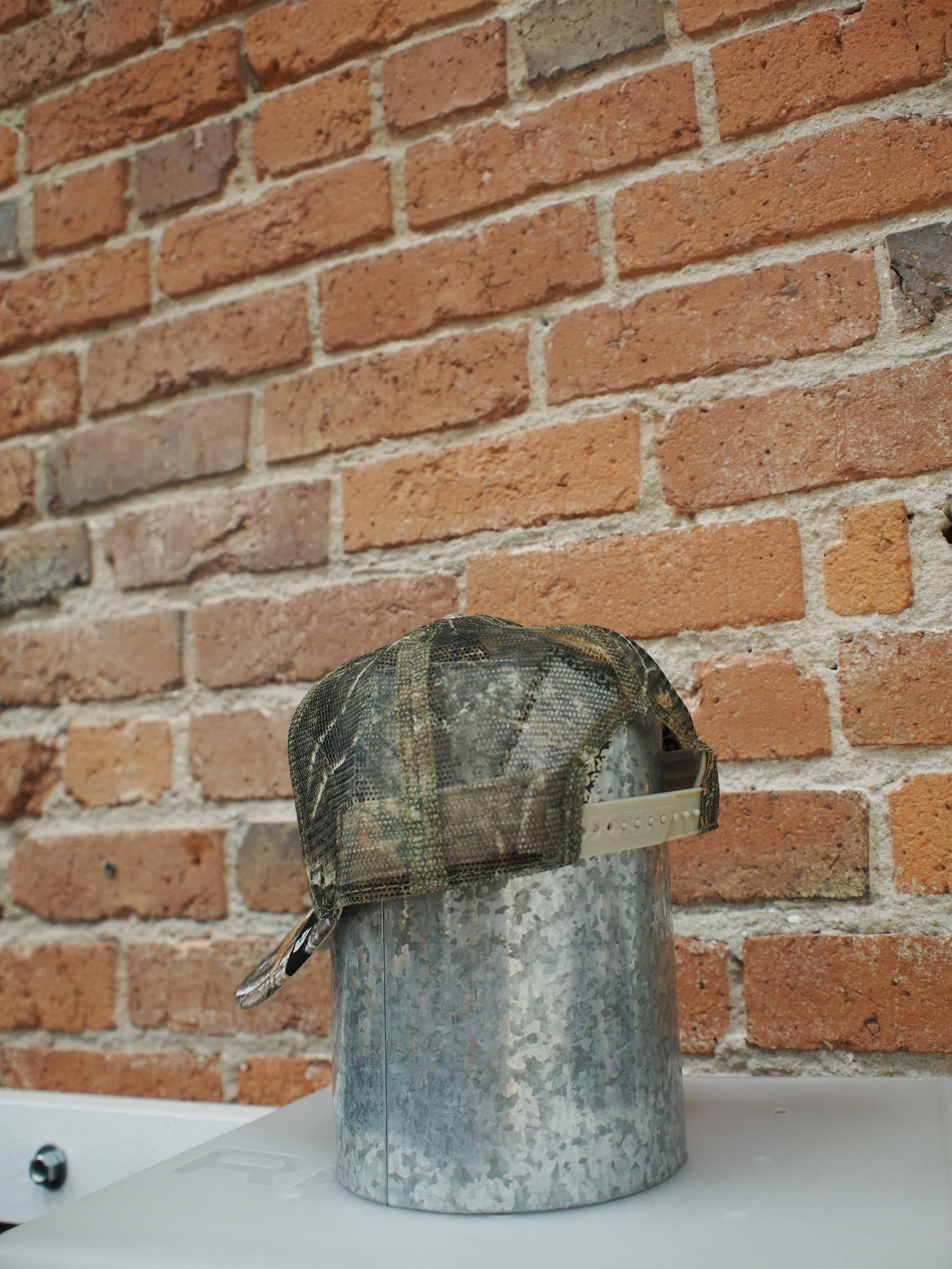 P1017745.JPG